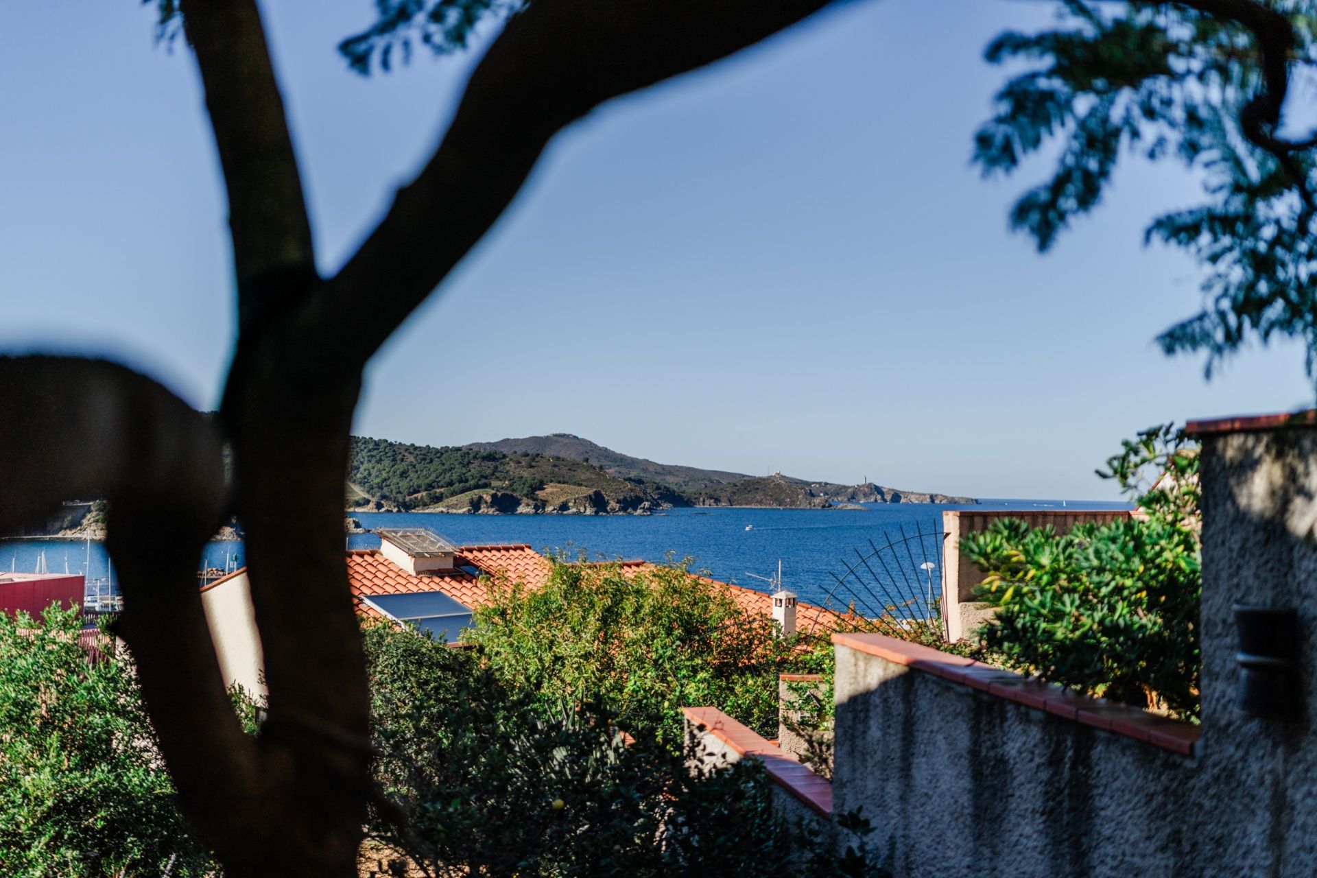 Sale House Banyuls-sur-Mer 66650 245 m²