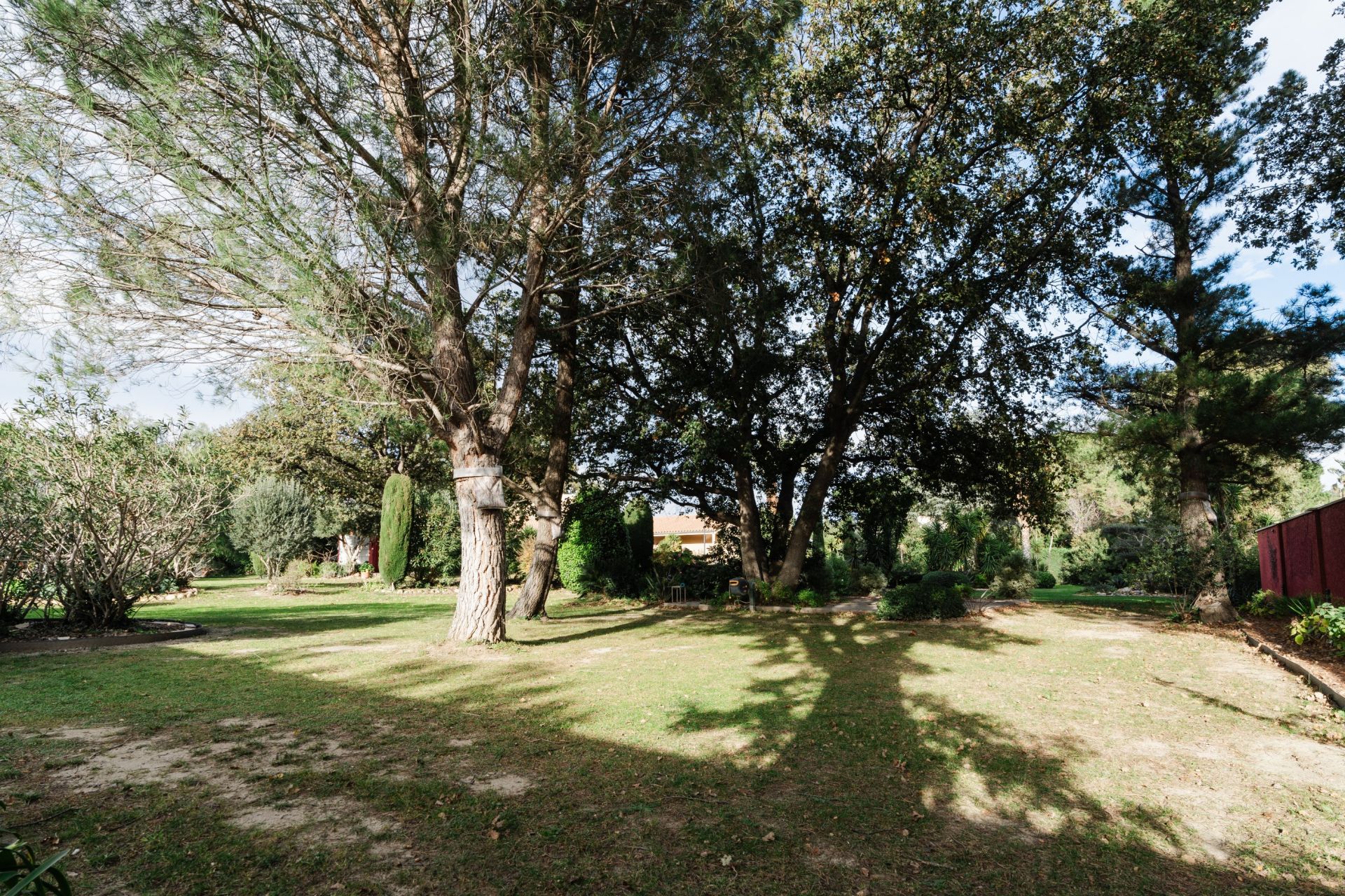 Vente Maison Perpignan 66000 390 m²