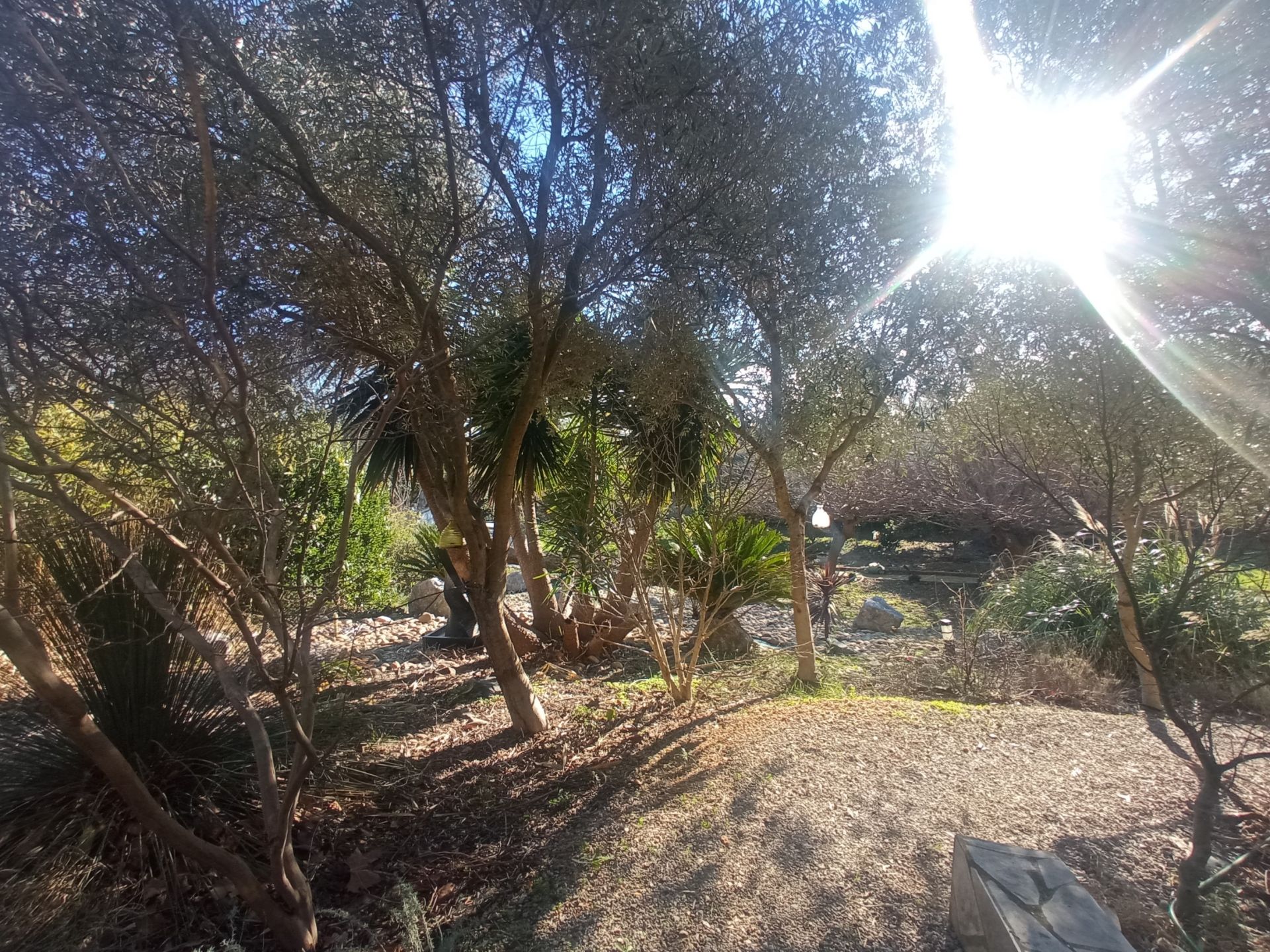 Vente Château Saint-Marcel-sur-Aude 11120 655&nbsp;m²