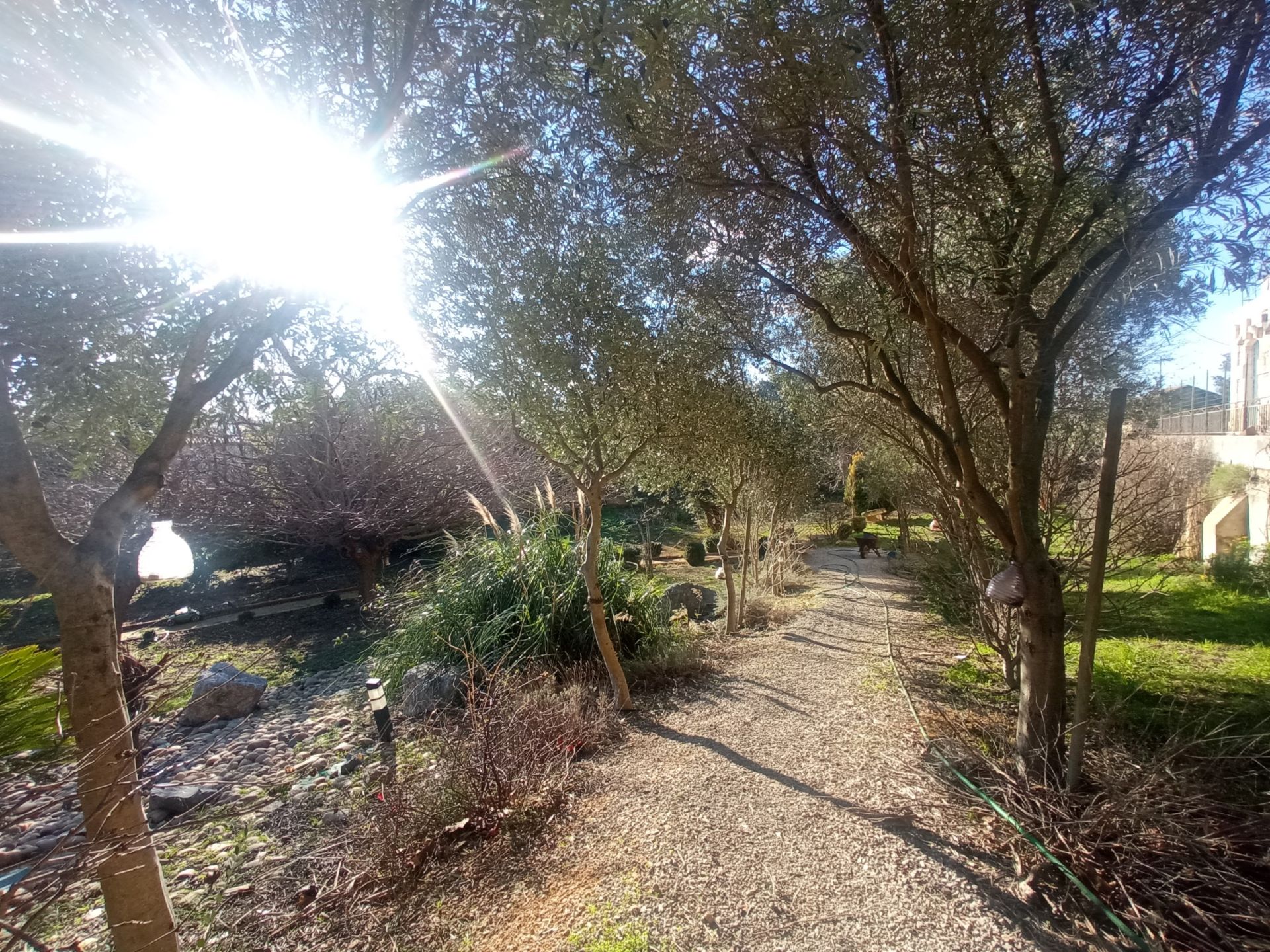 Vente Château Saint-Marcel-sur-Aude 11120 655&nbsp;m²