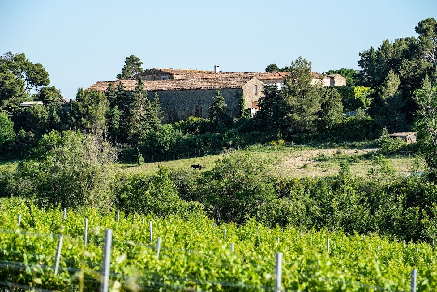 Vente Maison Carcassonne 11000 3000&nbsp;m²
