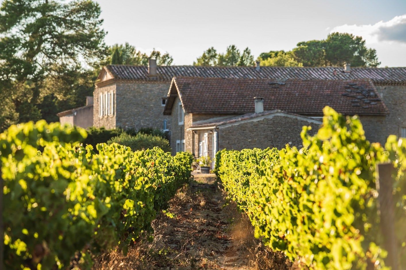 Vente Maison Carcassonne 11000 3000&nbsp;m²