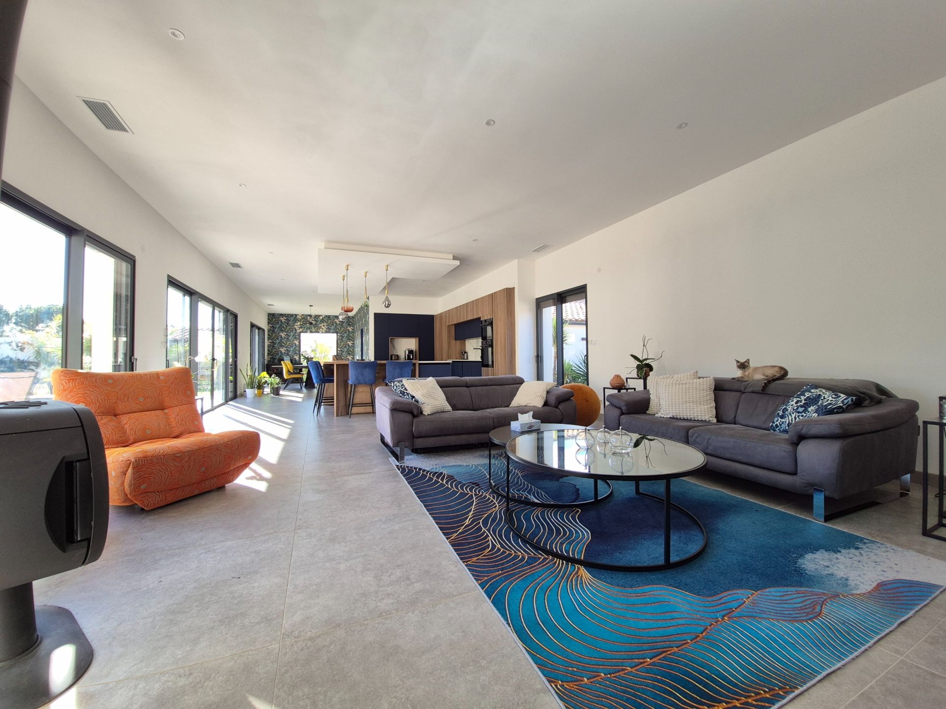 Vente Maison Narbonne 11100 315 m²