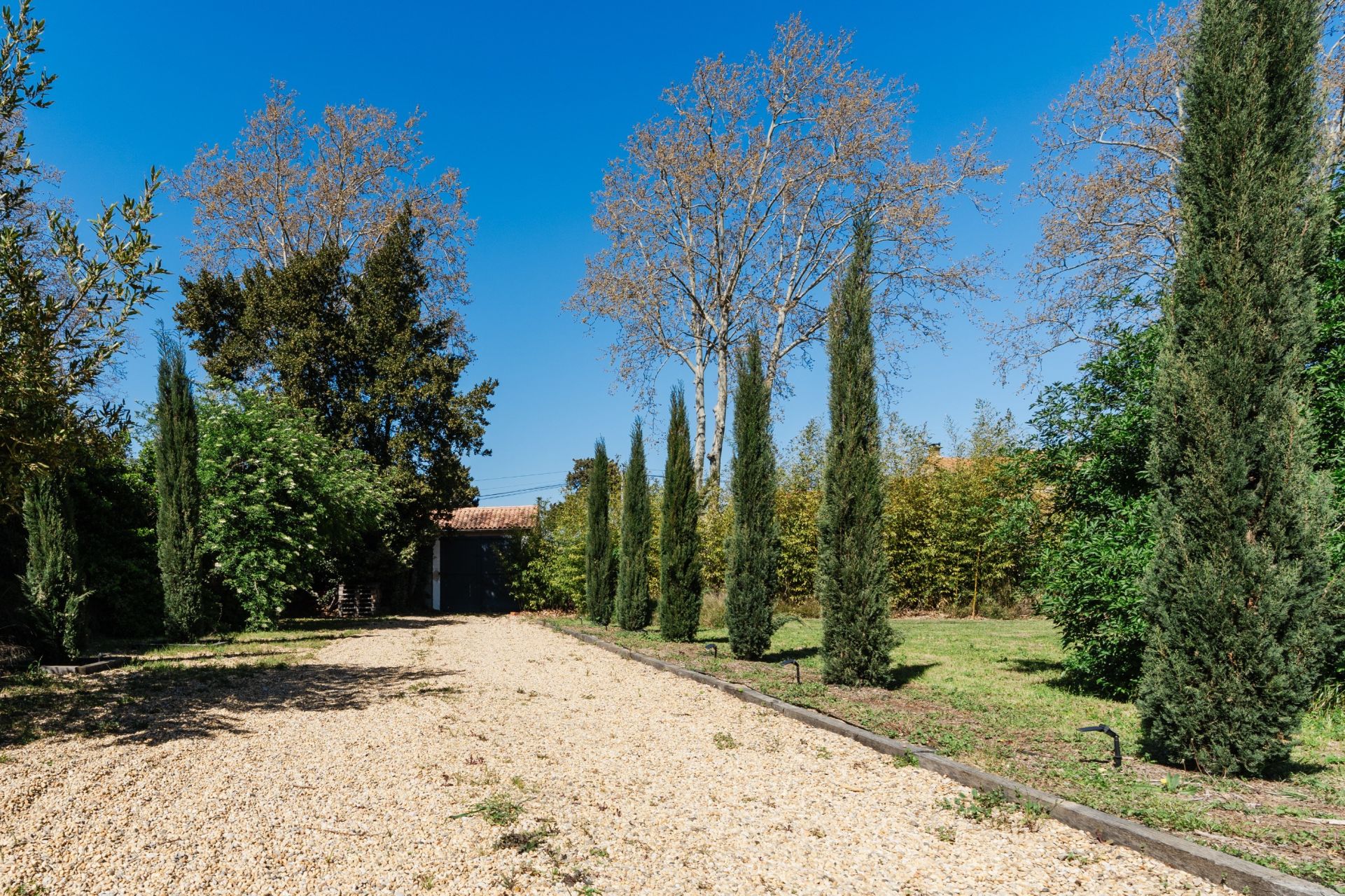 Vente Maison Ornaisons 11200 321 m²