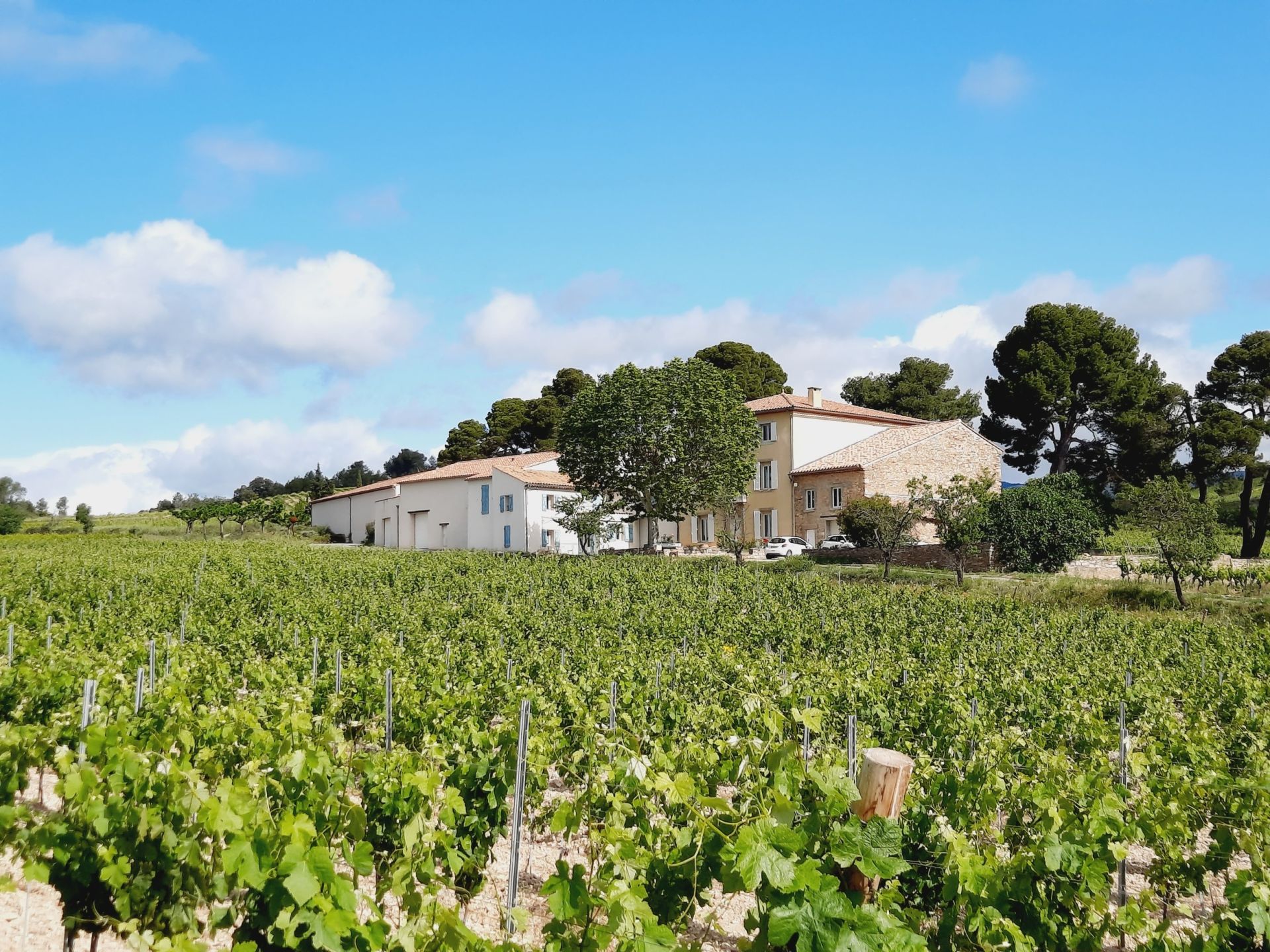 Vente Propriété viticole La Livinière 34210 2300 m²