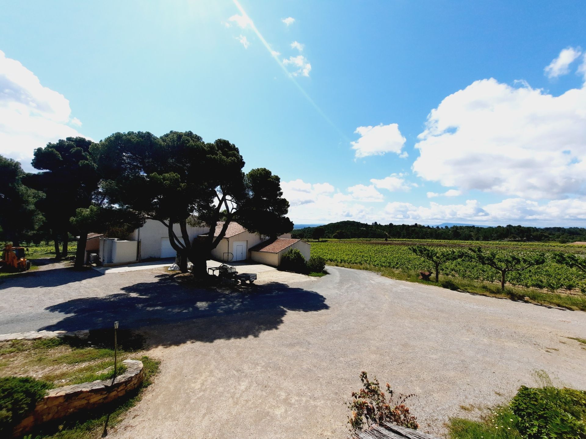 wine estate 12 rooms for sale on LA LIVINIERE (34210) Sale Wine estate La Livinière 34210 2300 m²