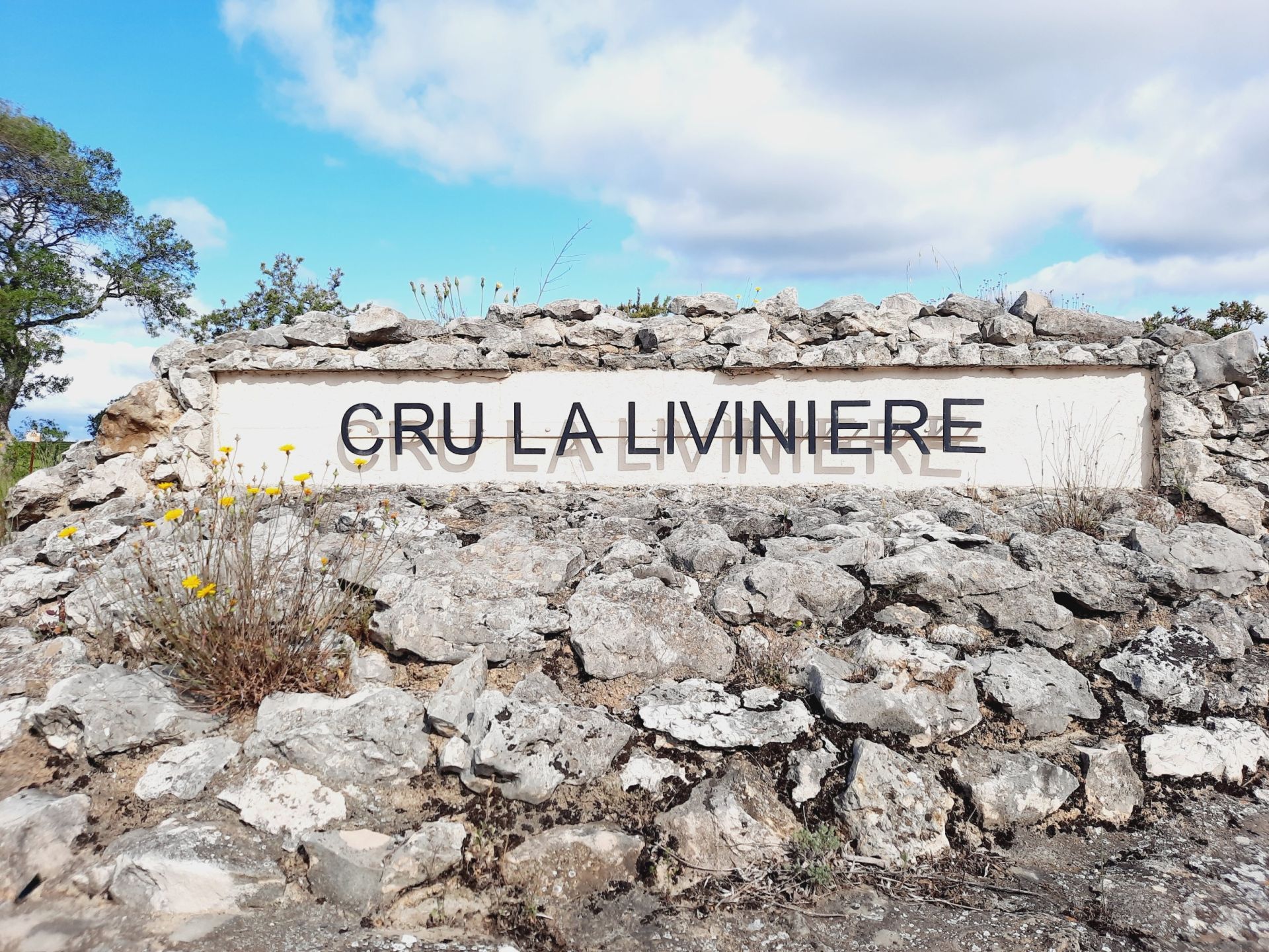 wine estate 12 rooms for sale on LA LIVINIERE (34210) Sale Wine estate La Livinière 34210 2300 m²