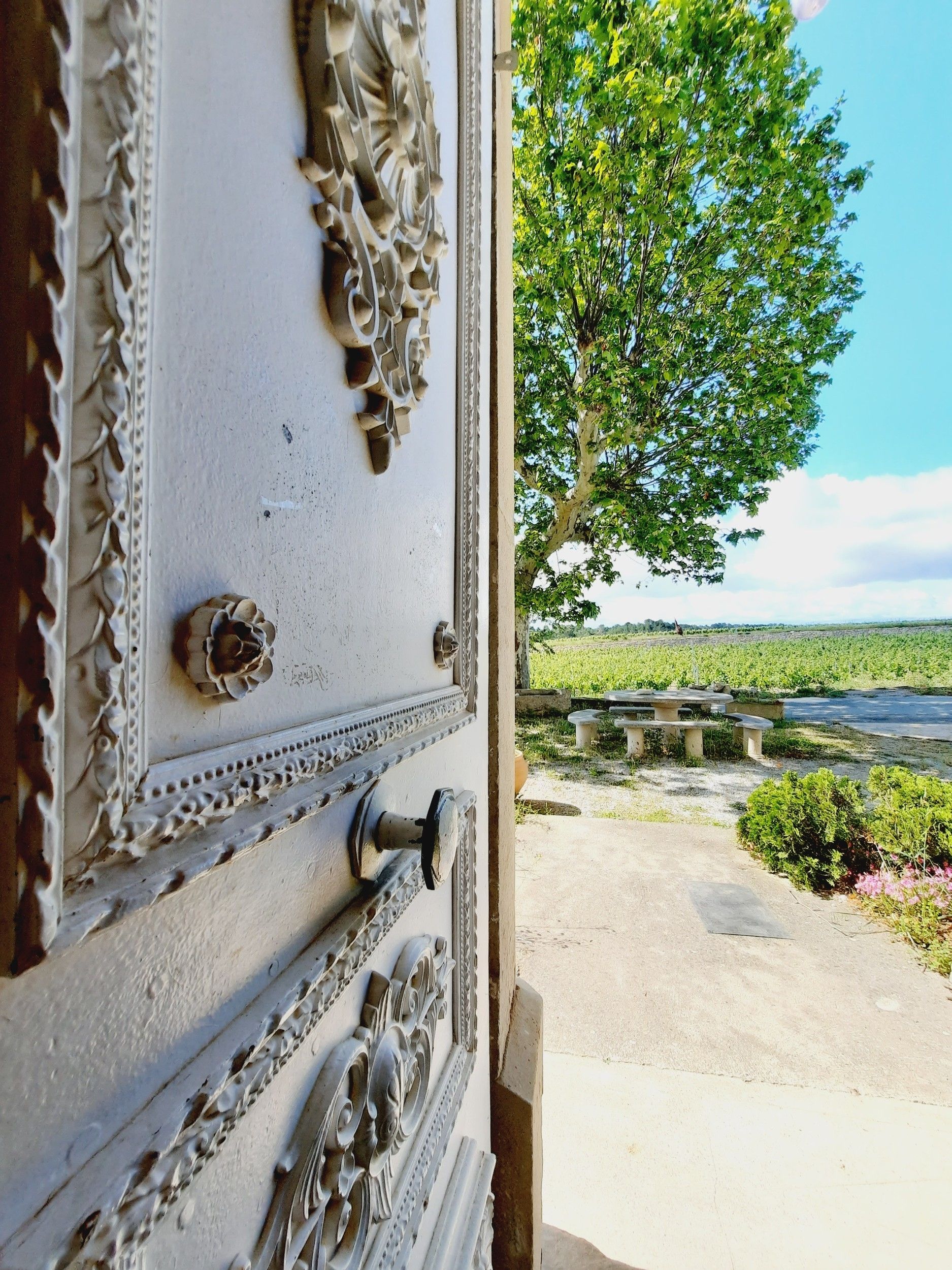 wine estate 12 rooms for sale on LA LIVINIERE (34210) Sale Wine estate La Livinière 34210 2300 m²