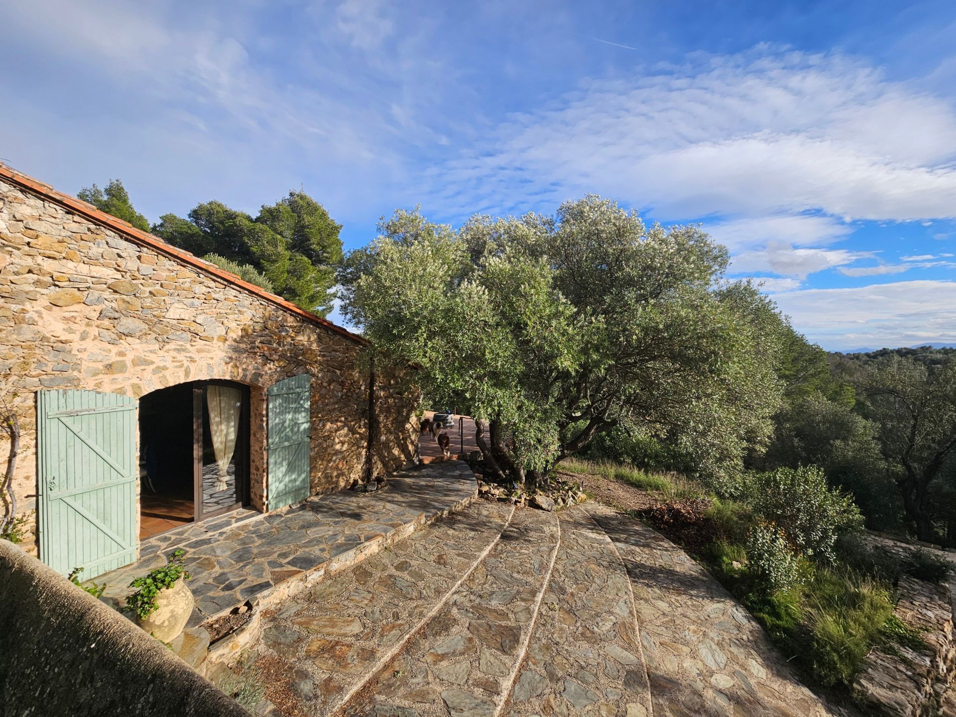 Vente Maison Perpignan 66000 240&nbsp;m²