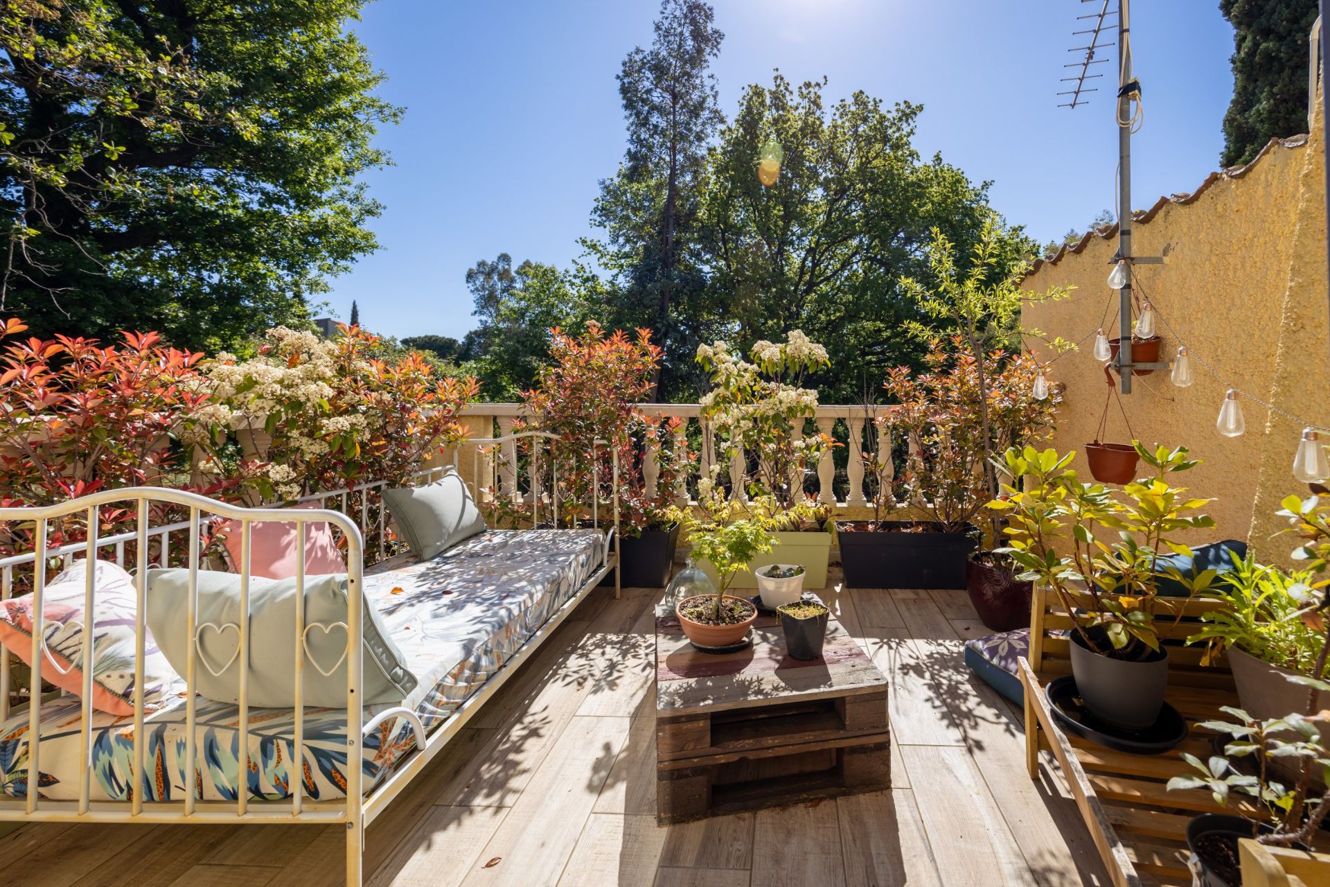 Sale House Thuir 66300 165 m²