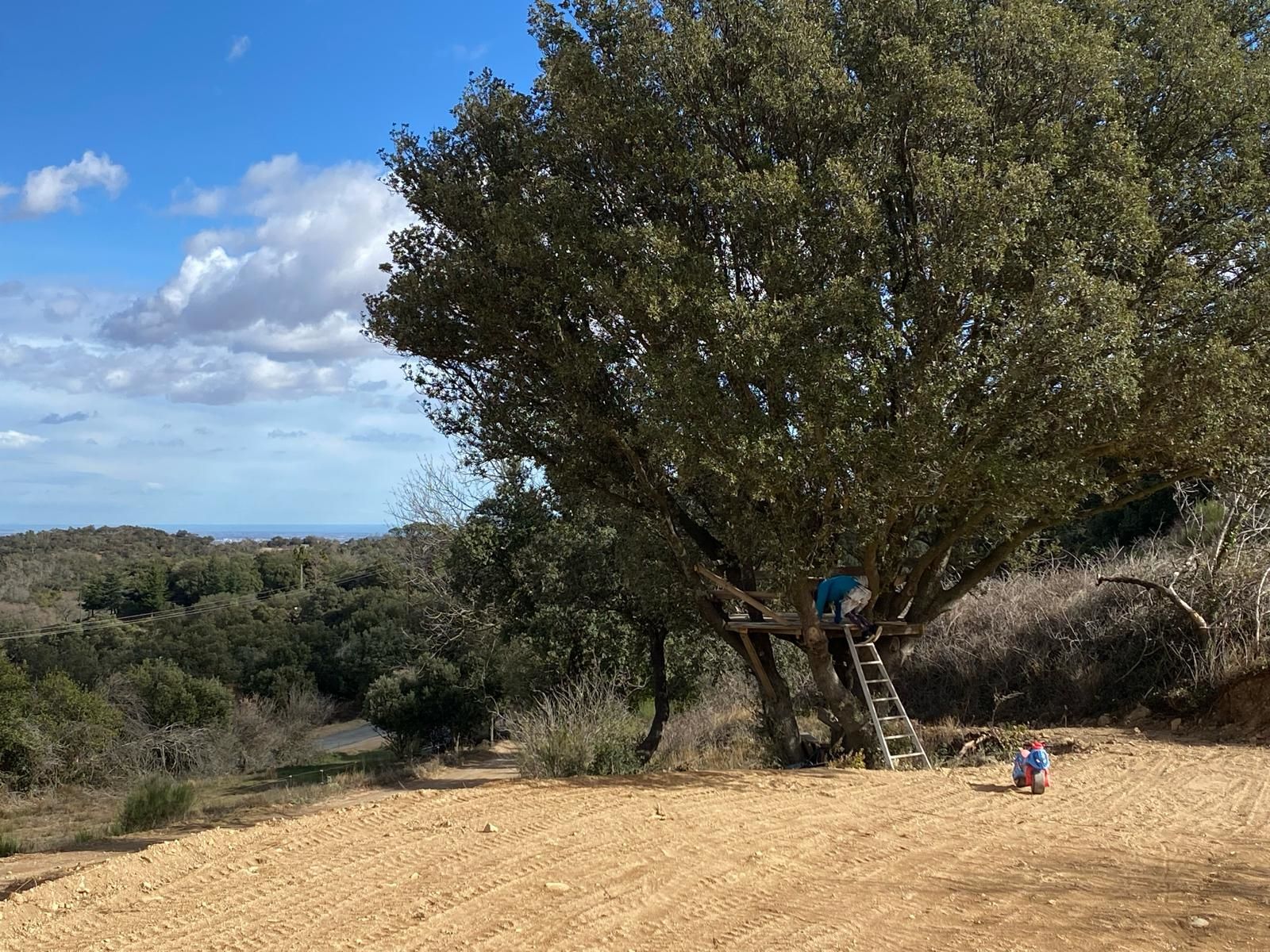 Sale House Céret 66400 163 m²