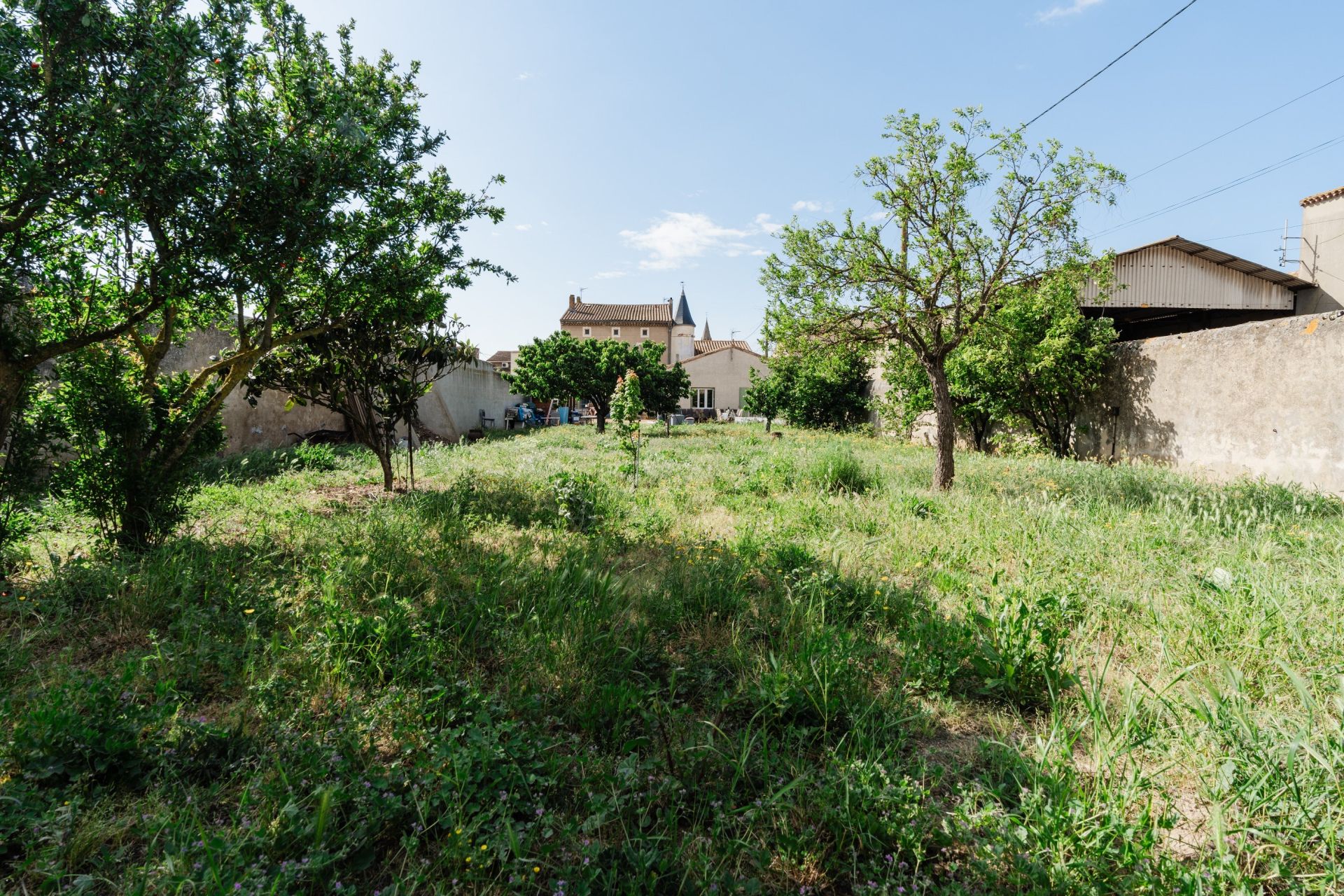 Sale House Olonzac 34210 336 m²