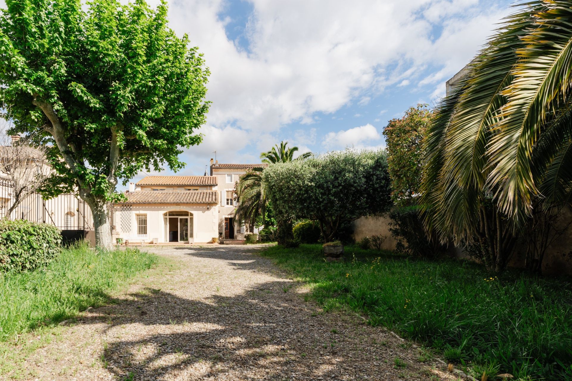 Sale House Olonzac 34210 336 m²