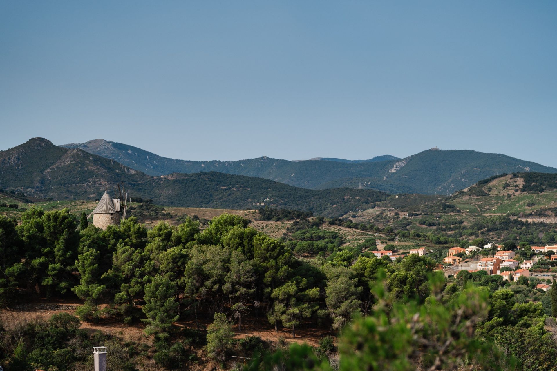 house 5 rooms for sale on COLLIOURE (66190) Sale House Collioure 66190 168 m²