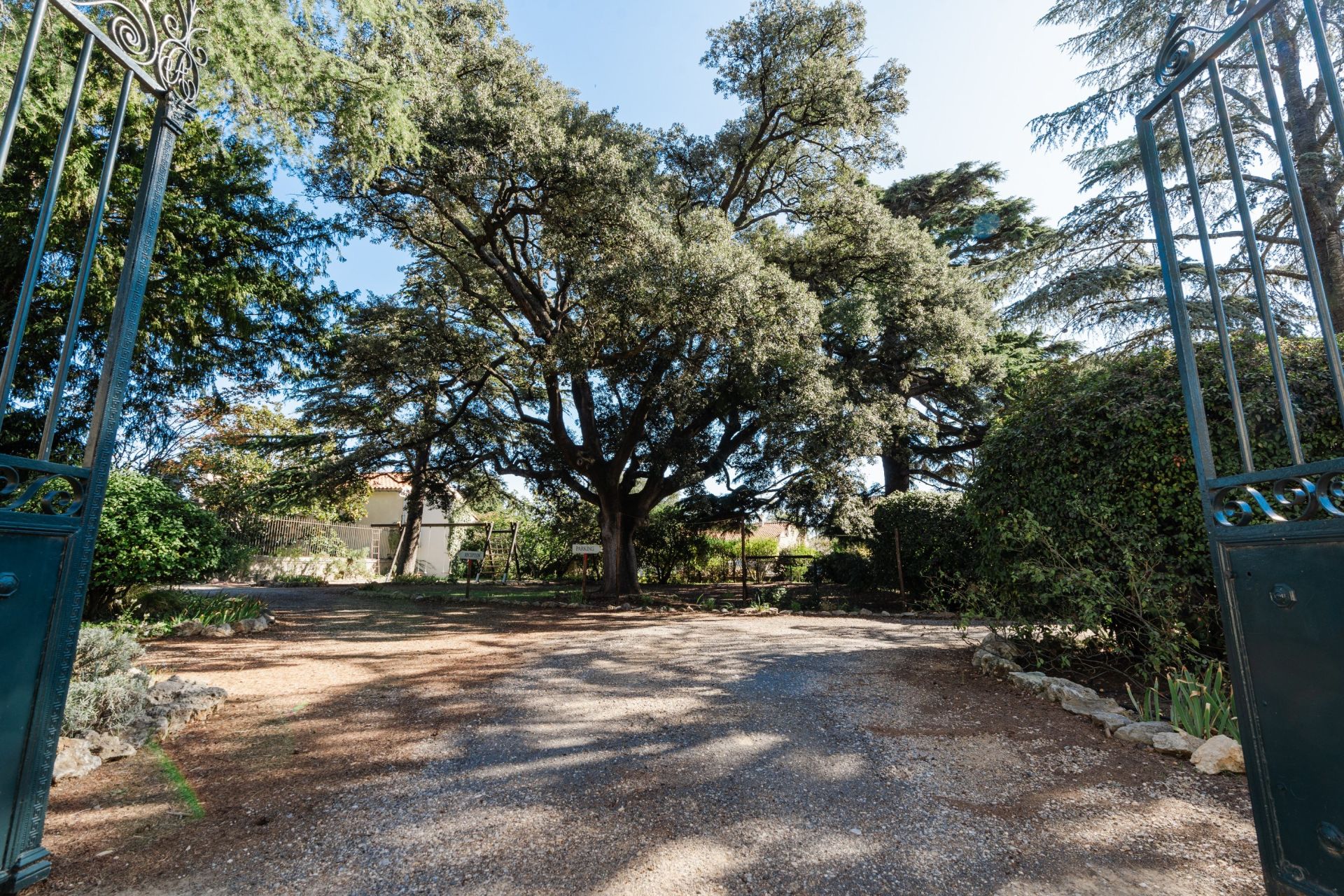 maison 35 pièces en vente sur ST NAZAIRE D AUDE (11120) Vente Maison Saint-Nazaire-d'Aude 11120 1000 m²