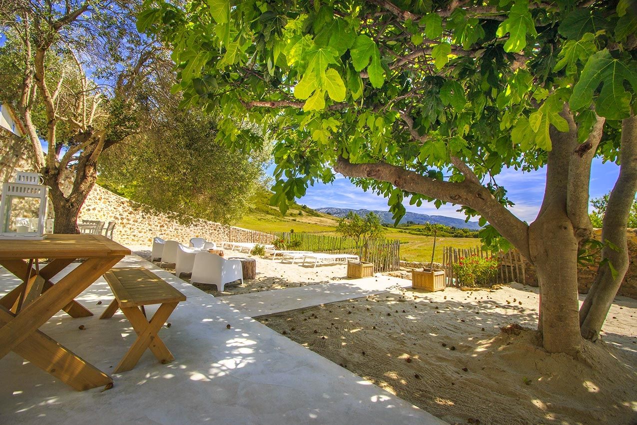 property 20 rooms for sale on VILLESEQUE DES CORBIERES (11360) Sale Property Villesèque-des-Corbières 11360 840 m²