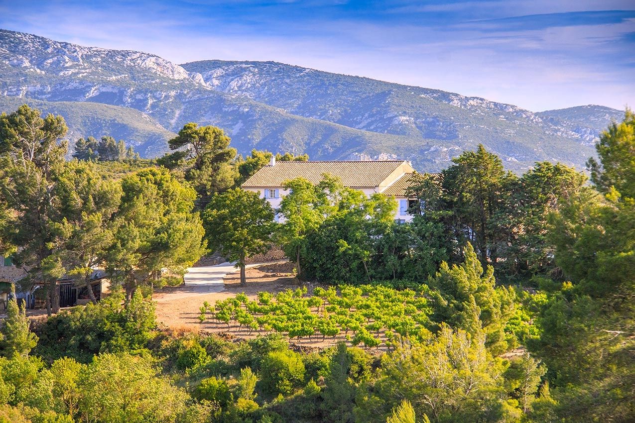 property 20 rooms for sale on VILLESEQUE DES CORBIERES (11360) Sale Property Villesèque-des-Corbières 11360 840 m²