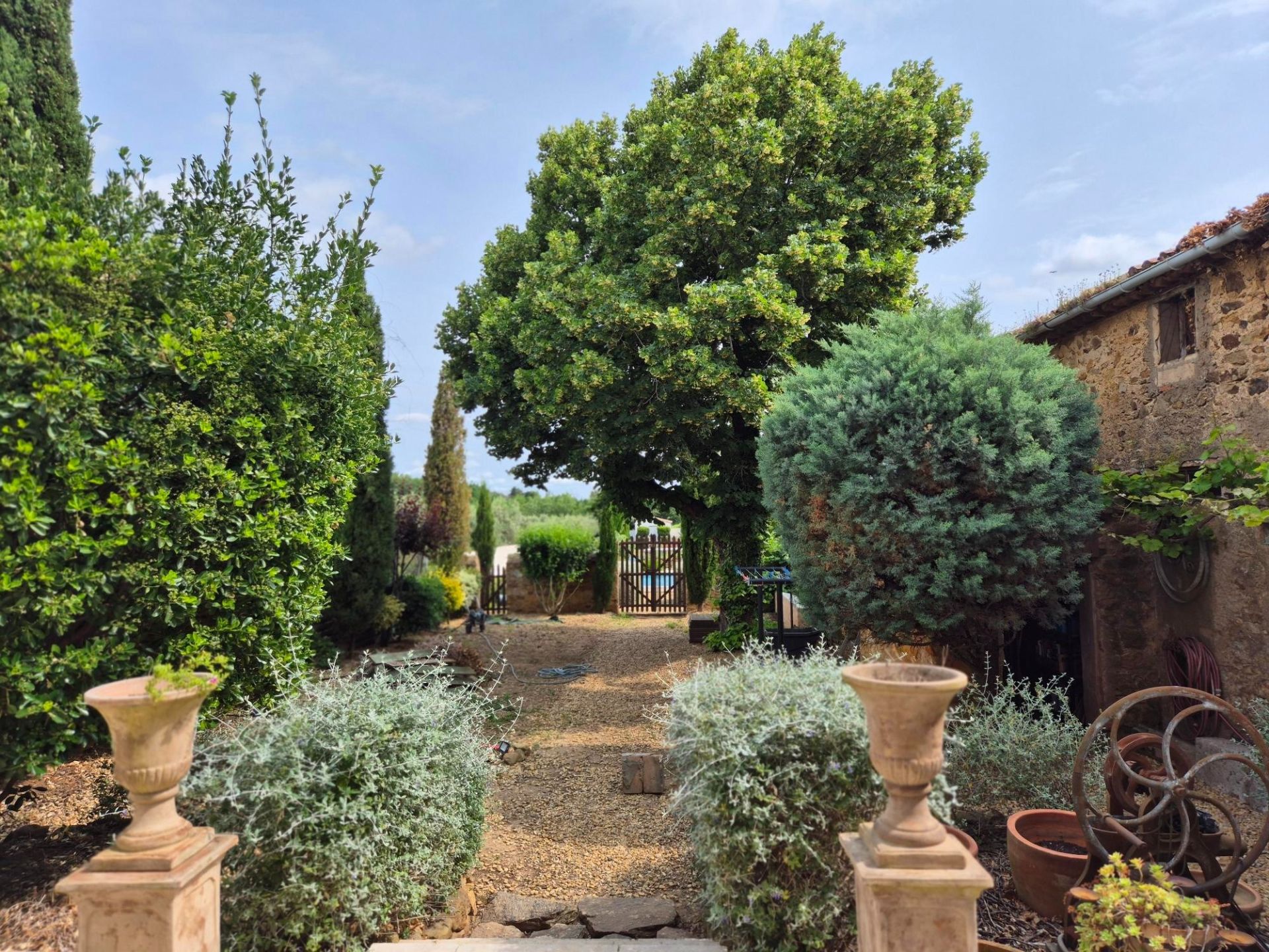Sale House Saint-André-de-Roquelongue 11200 420 m²