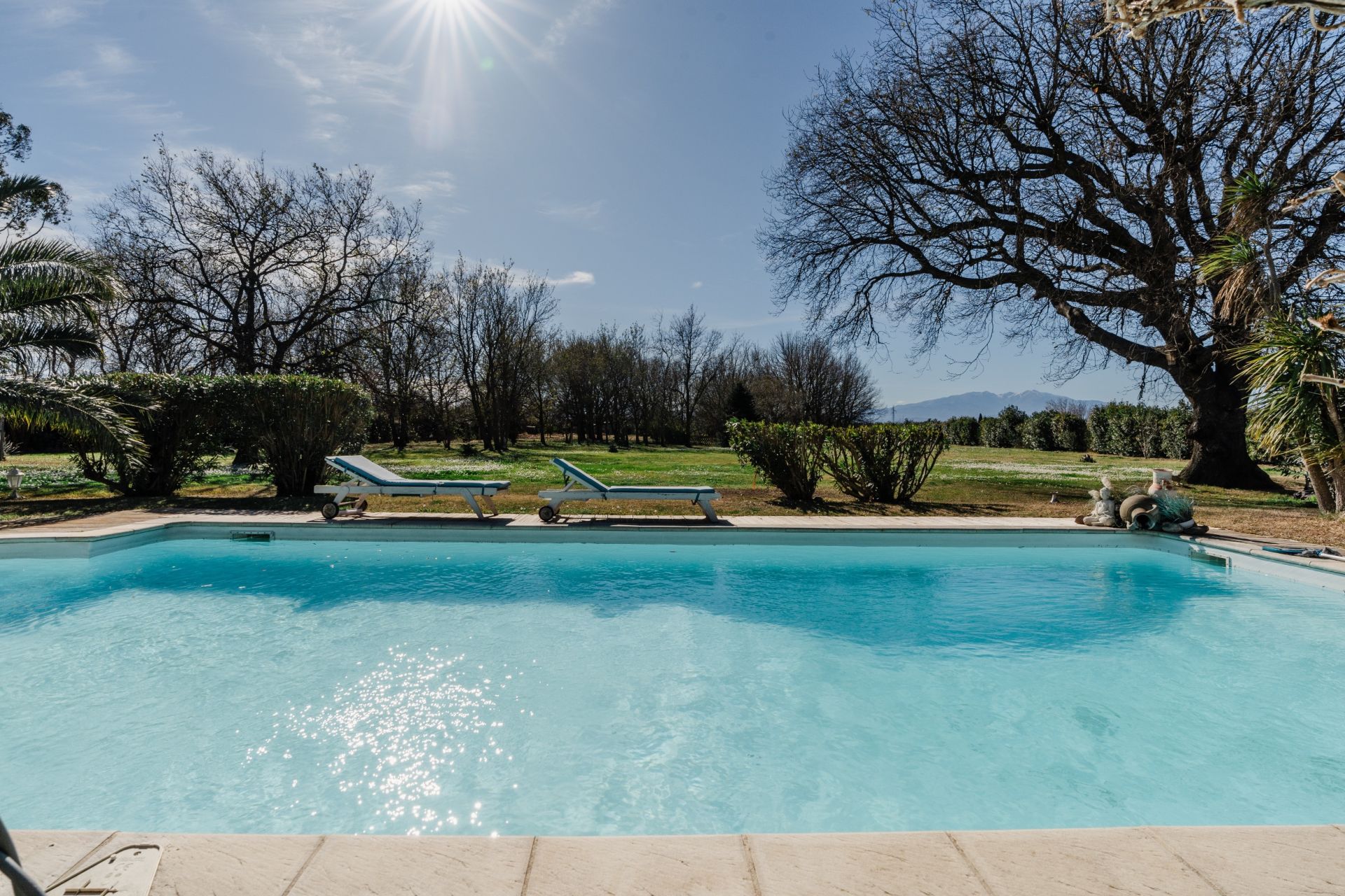 Sale House Saleilles 66280 320 m²