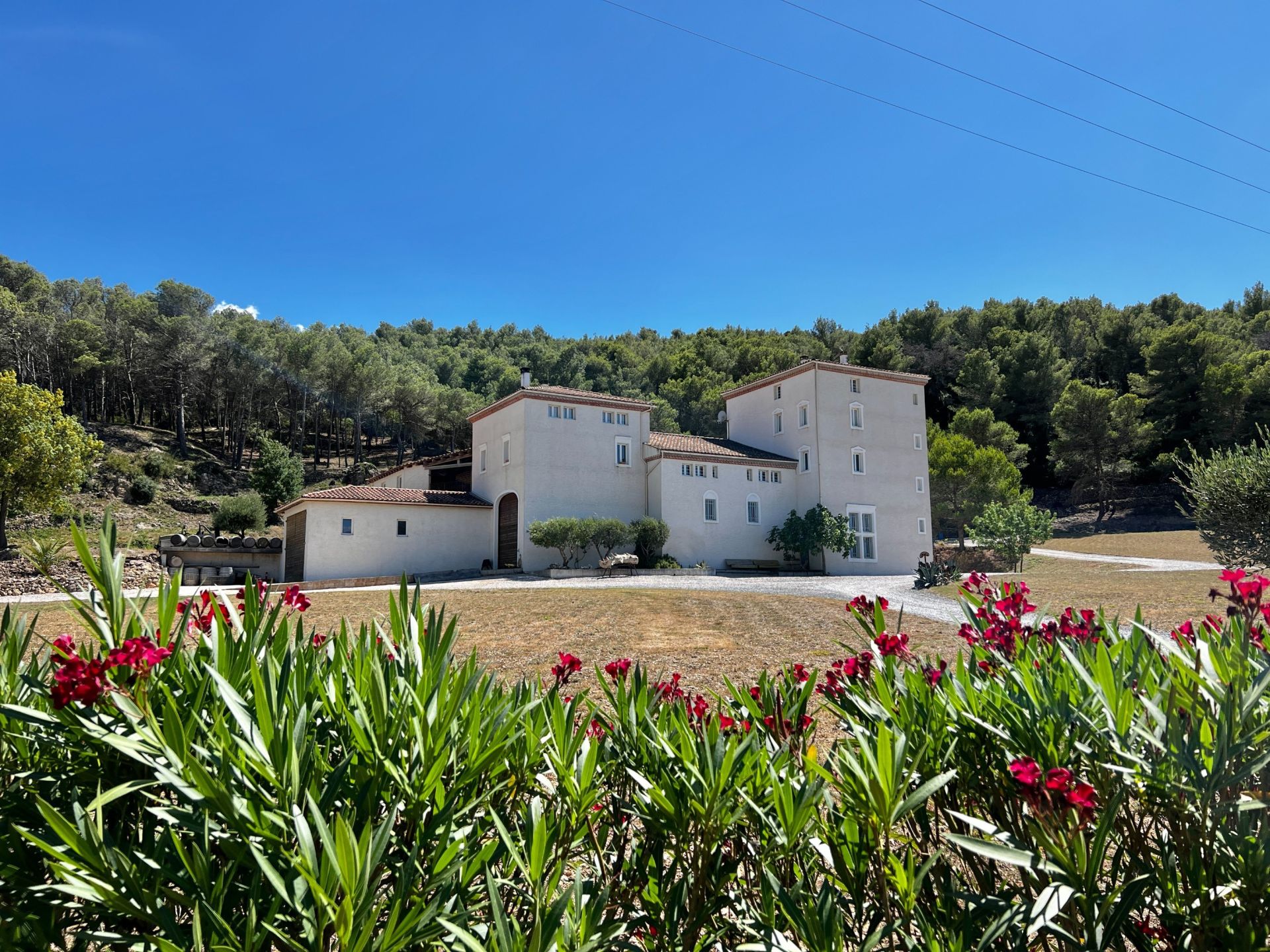 Vente Maison Narbonne 11100 366 m²