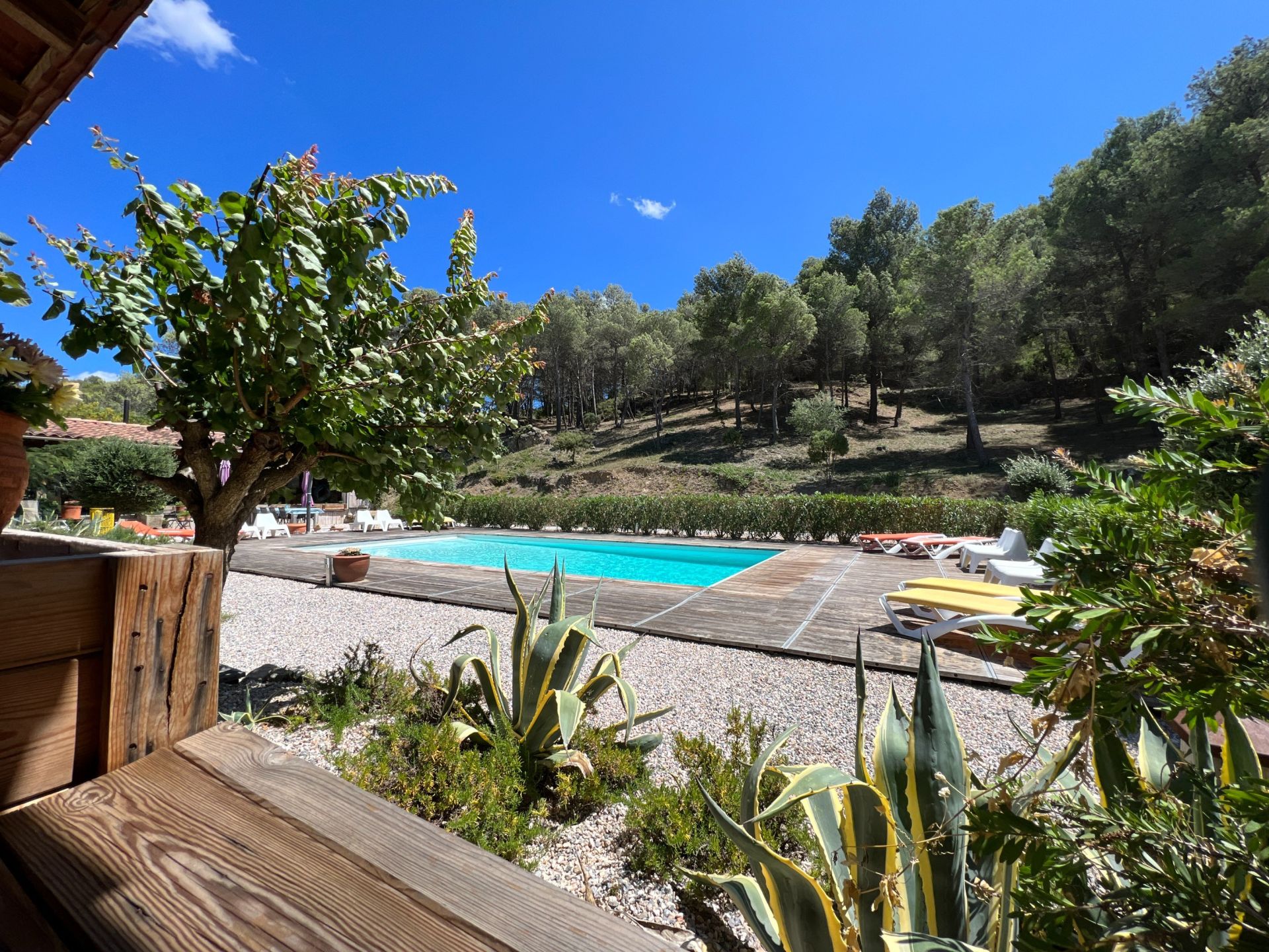 Sale House Narbonne 11100 366 m²