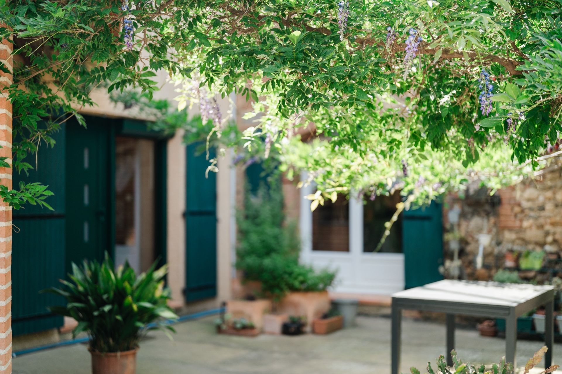 Sale House Thuir 66300 345 m²