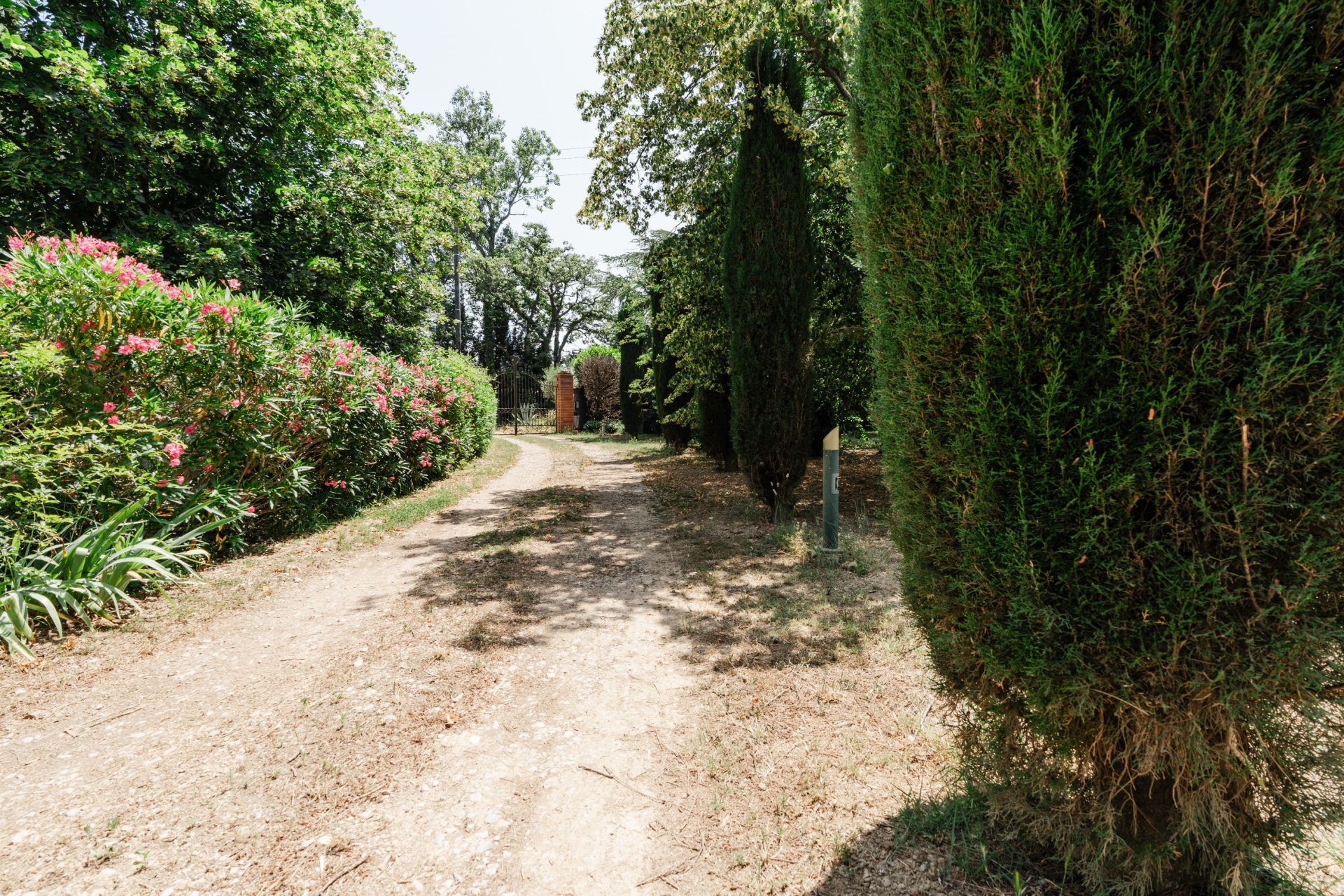 Sale House Thuir 66300 345 m²