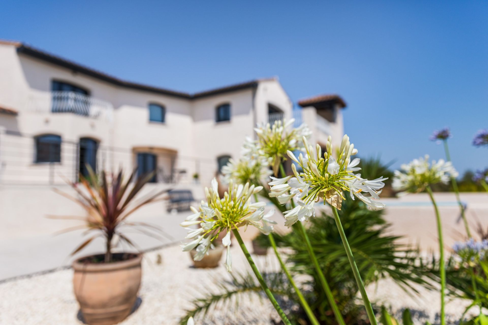 Sale House Ventenac-en-Minervois 11120 178 m²