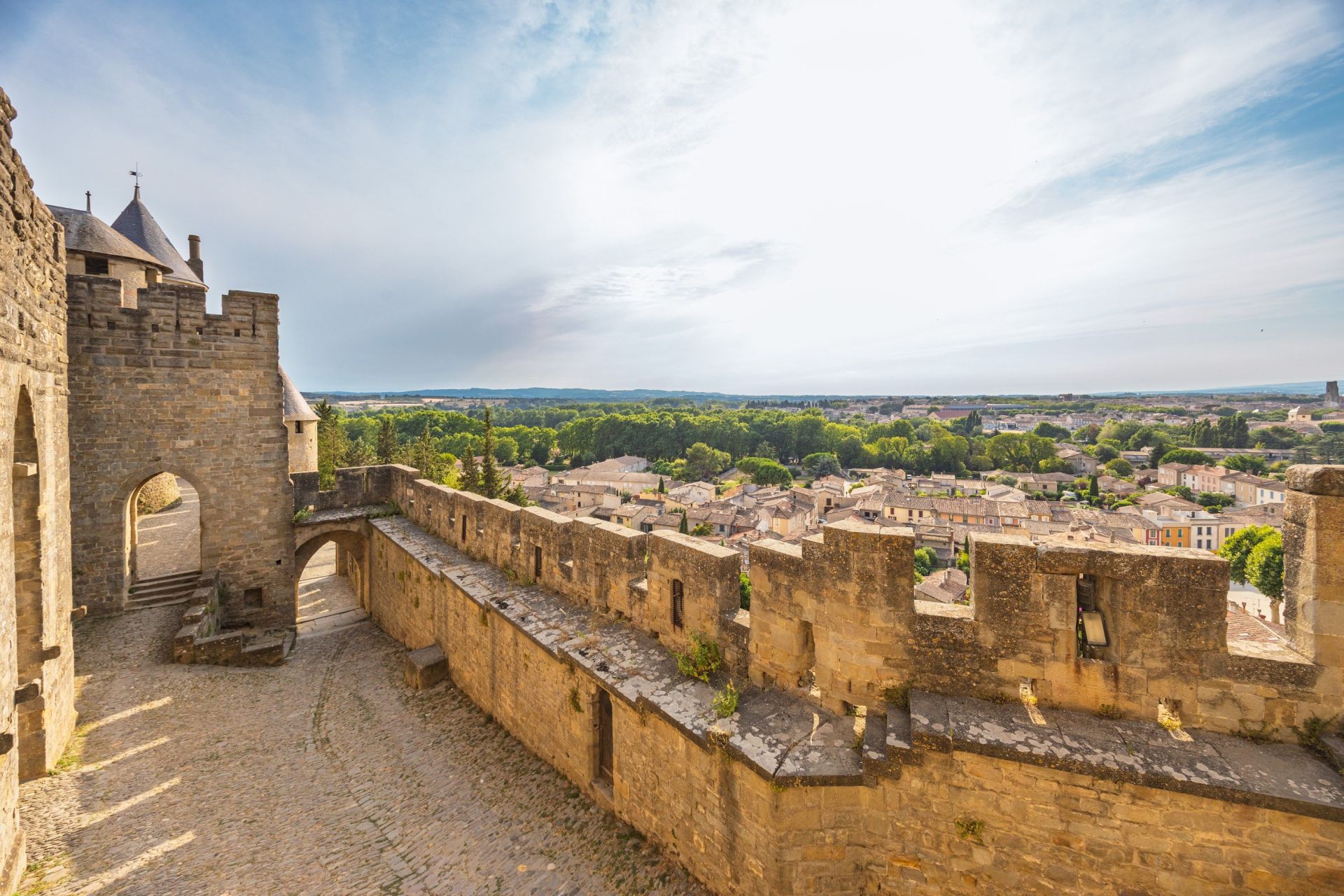Vente Maison Carcassonne 11000 335 m²
