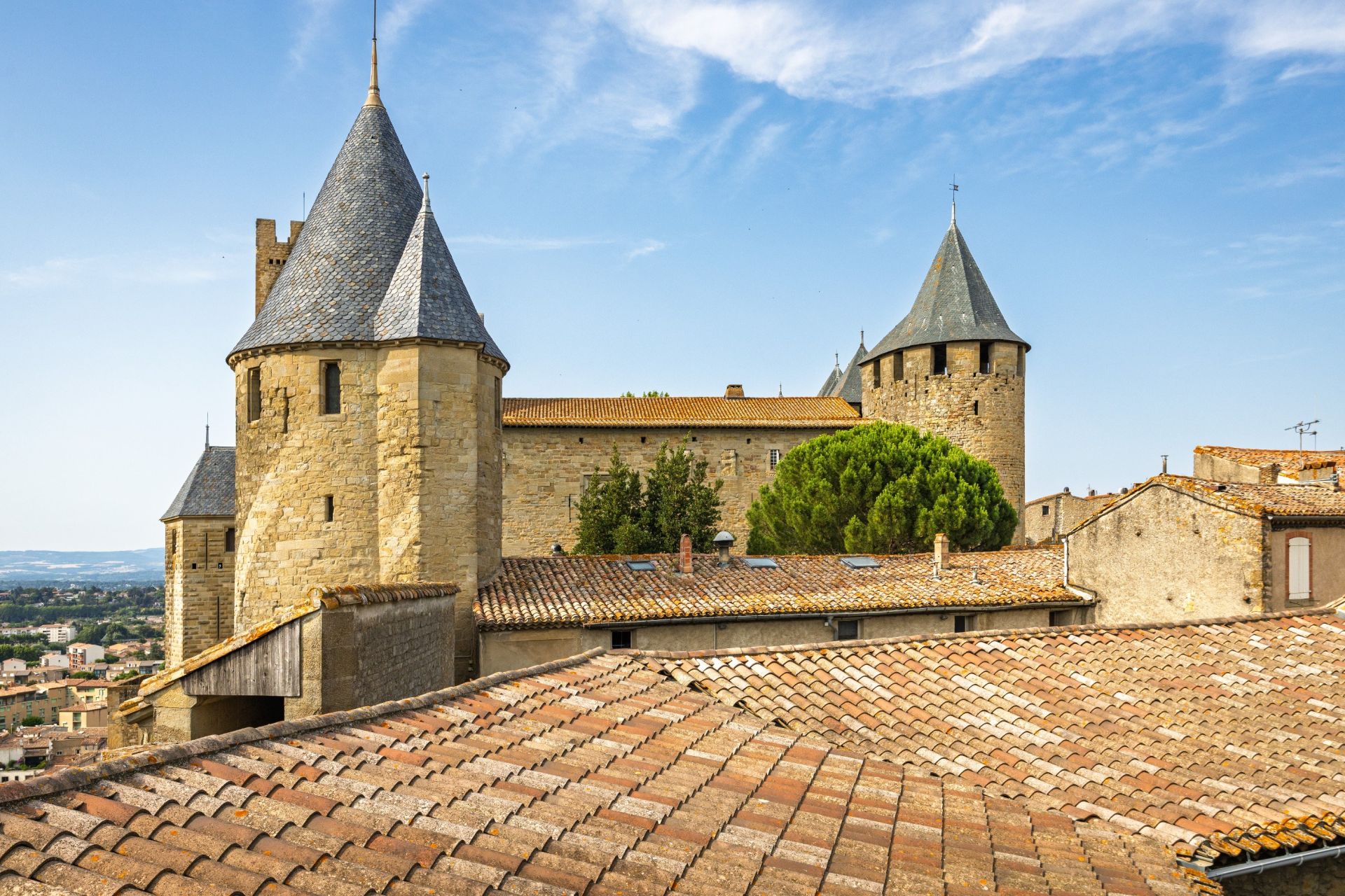 Sale House Carcassonne 11000 335 m²