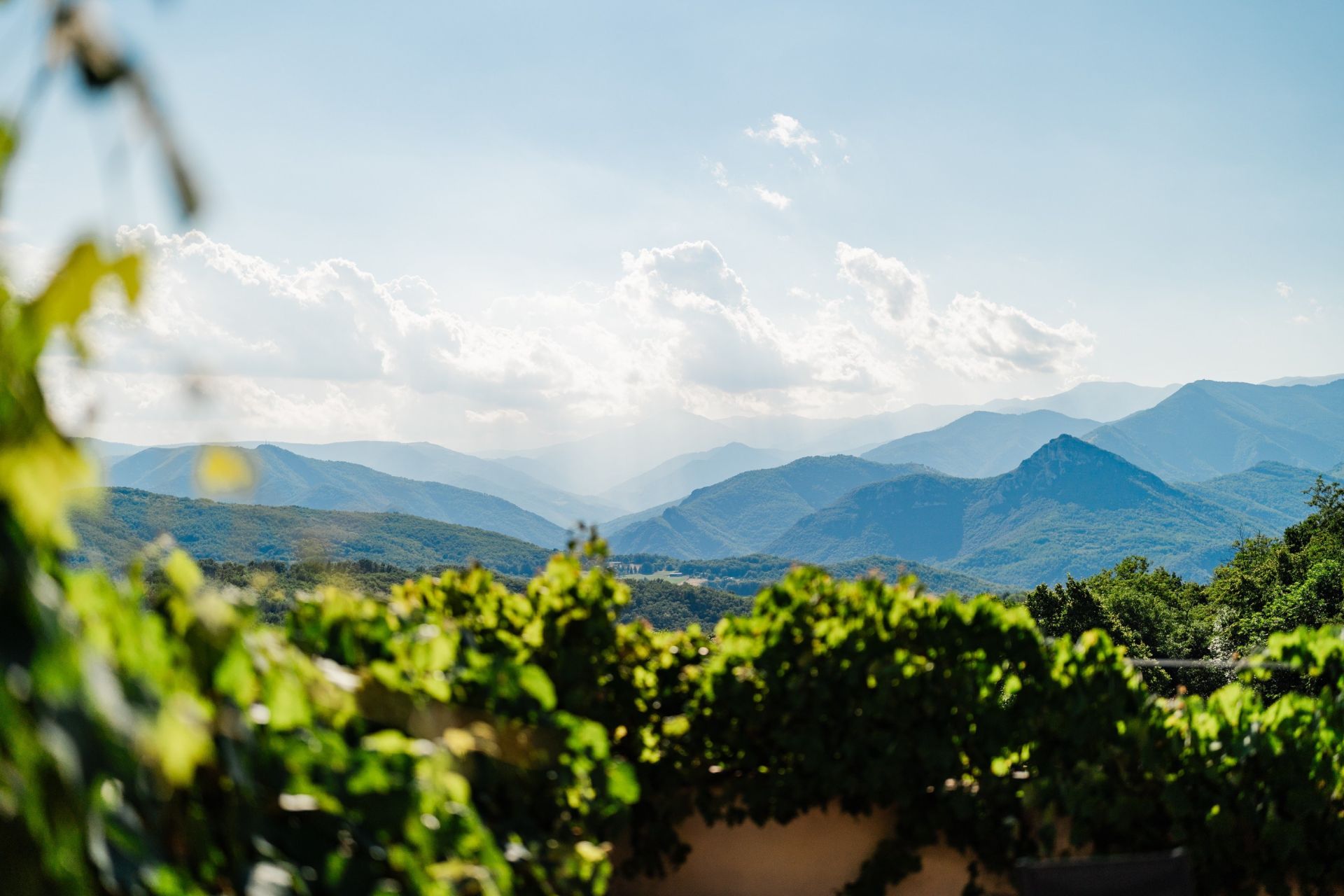 Vente Maison Saint-Laurent-de-Cerdans 66260 411 m²