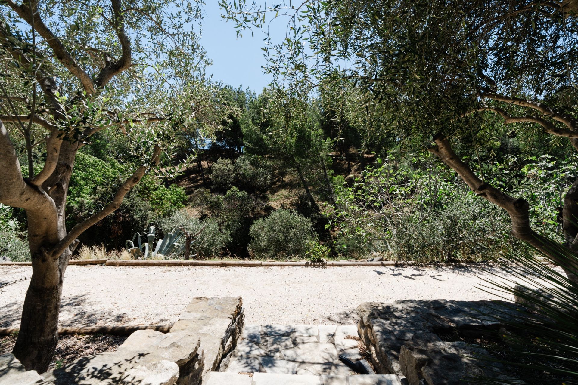 Vente Maison Narbonne 11100 166 m²