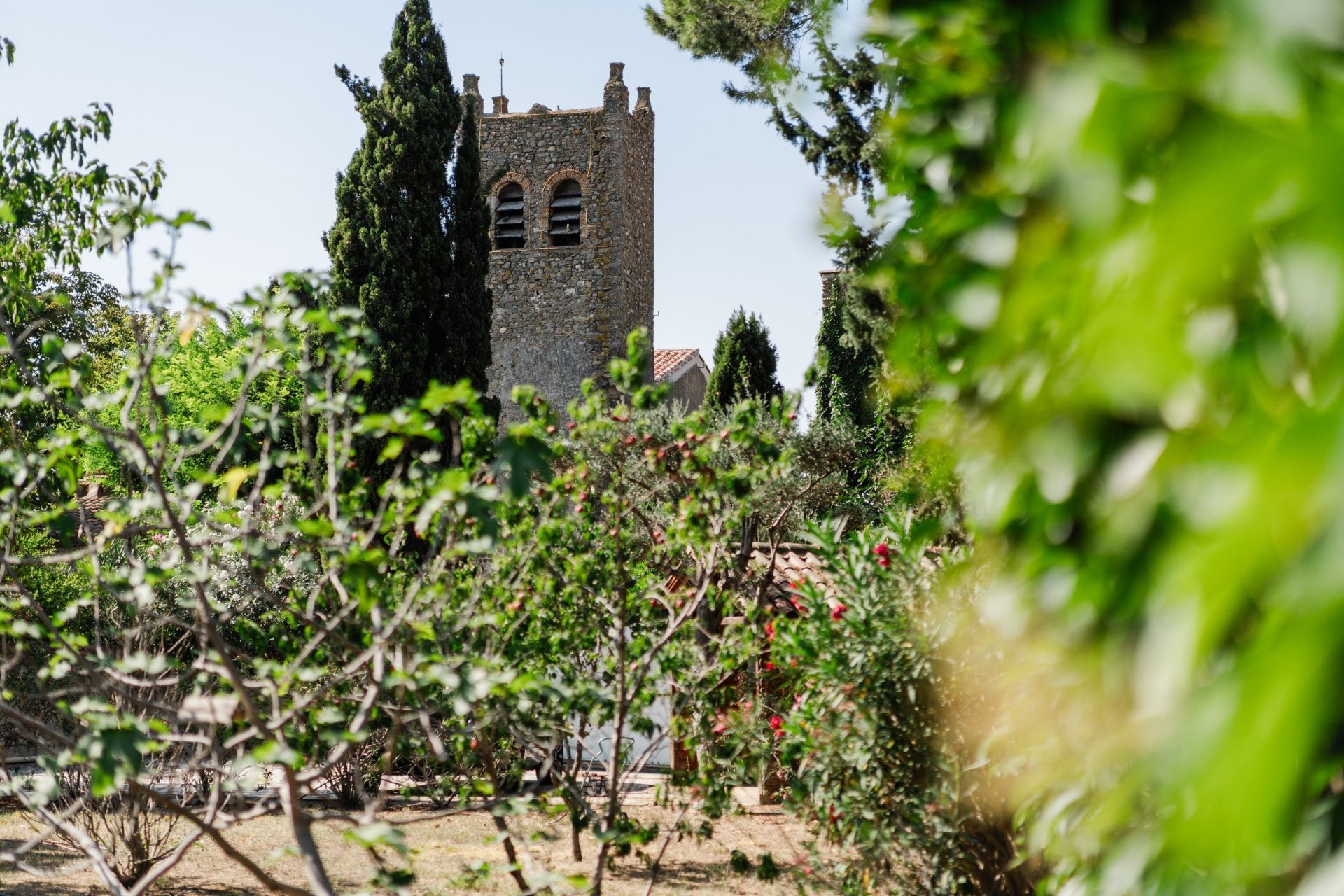 Vente Maison Ginestas 11120 600 m²