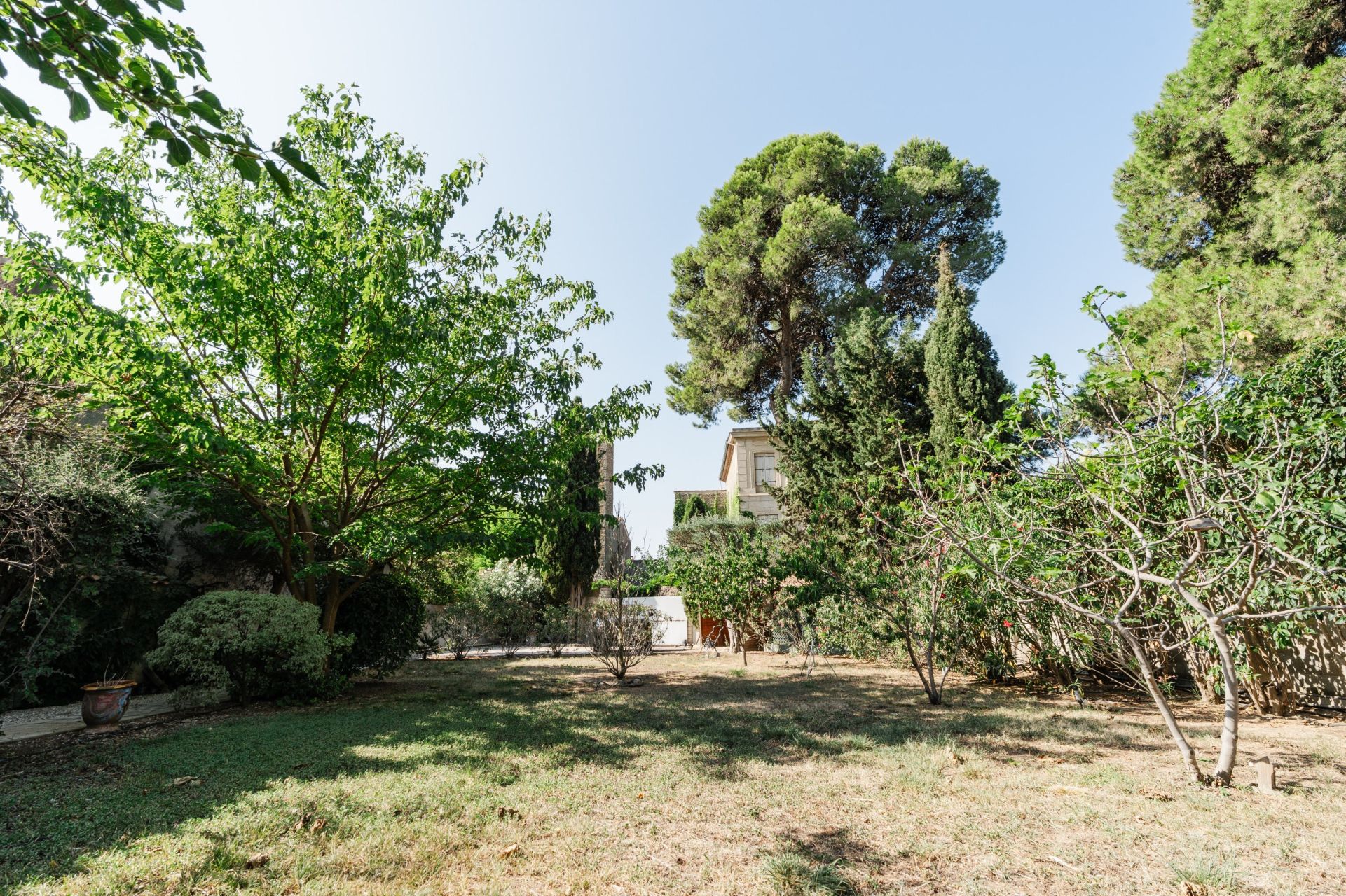 Vente Maison Ginestas 11120 600&nbsp;m²