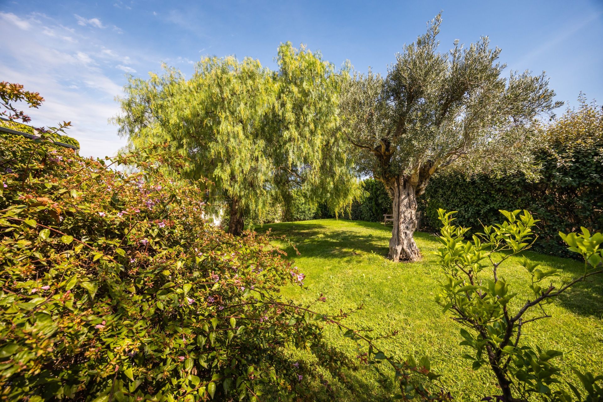 Vente Maison Canohès 66680 288&nbsp;m²