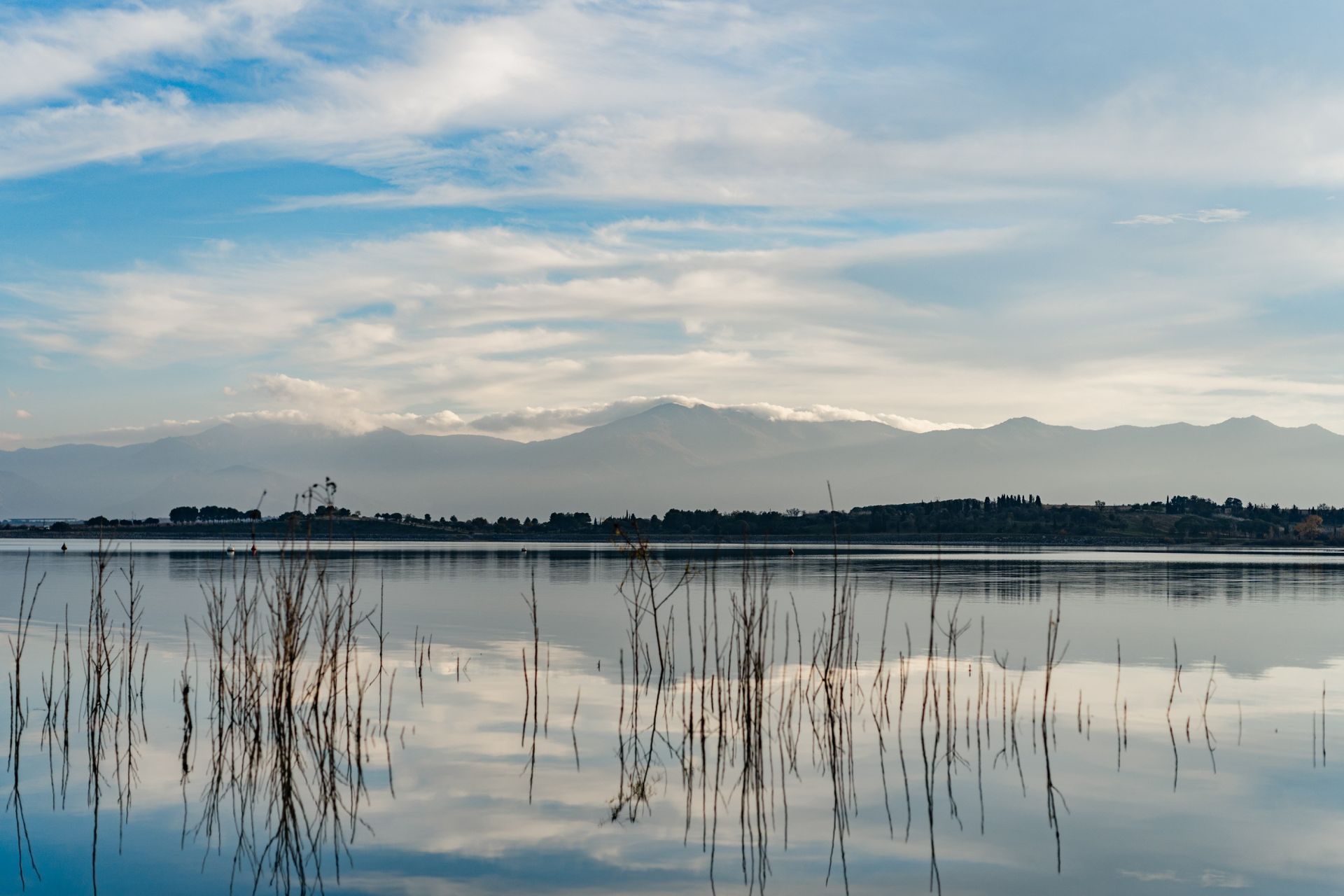 Vente Maison Villeneuve-de-la-Raho 66180 207 m²