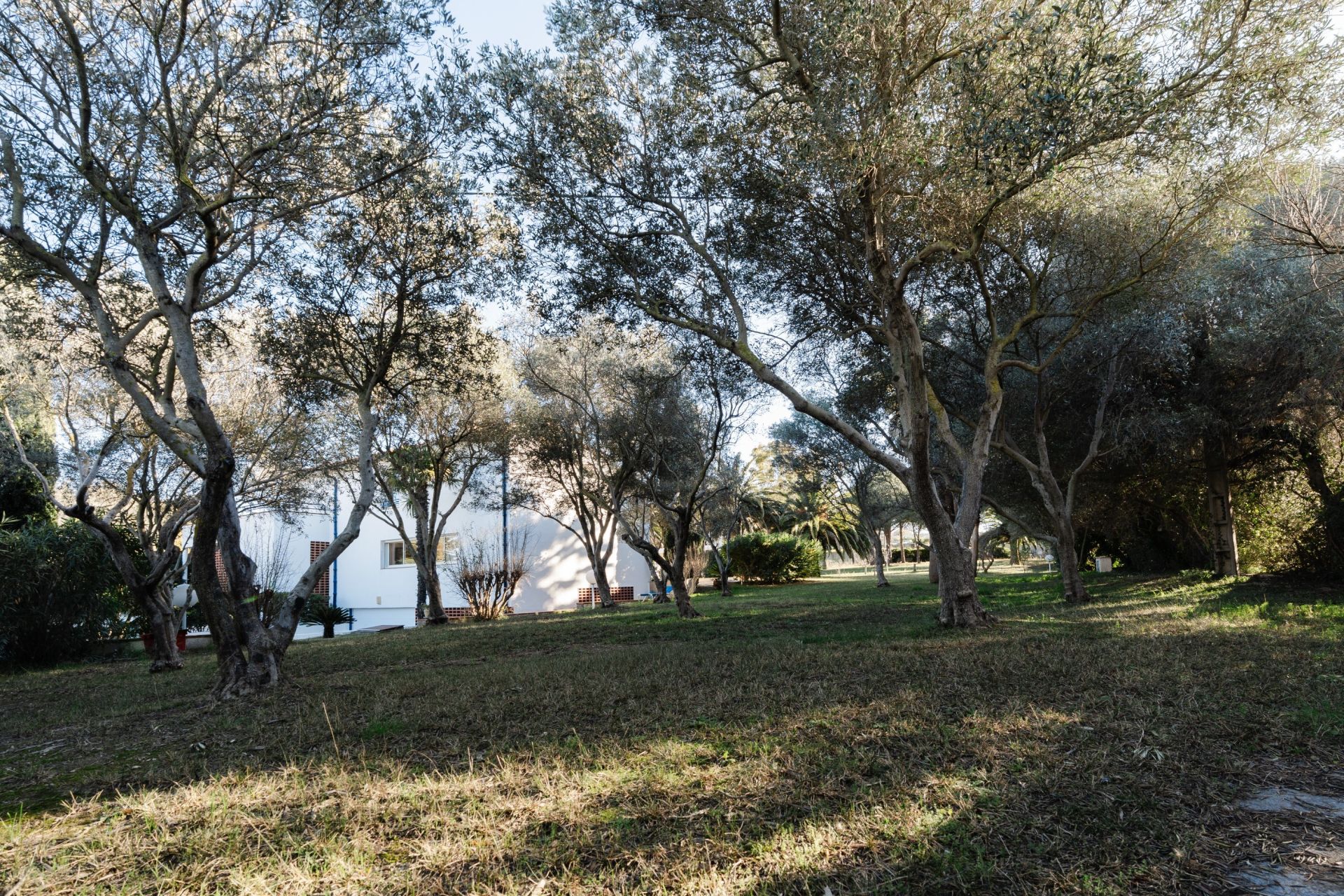 Vente Maison Perpignan 66000 256&nbsp;m²