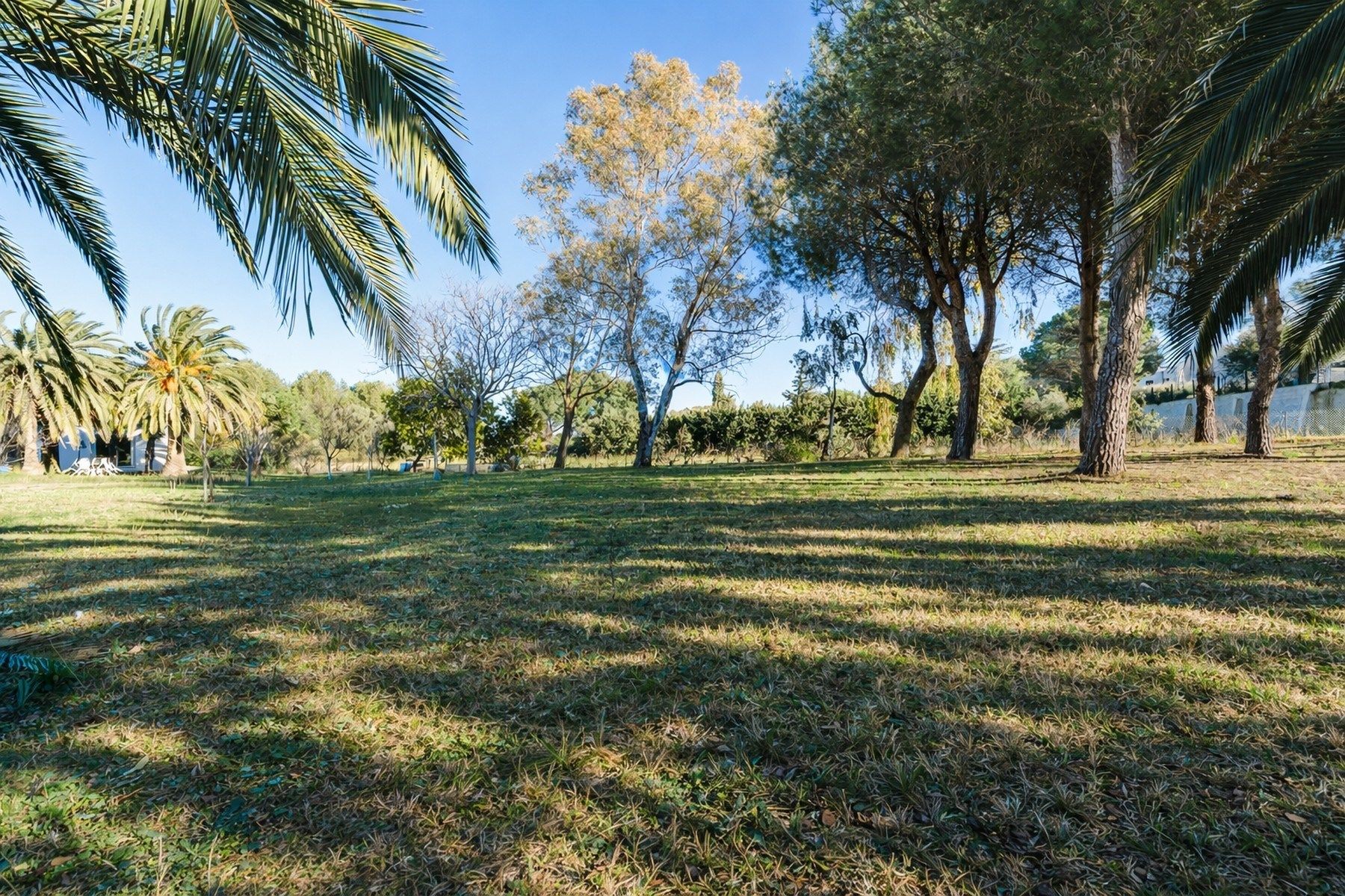 Vente Maison Perpignan 66000 256&nbsp;m²