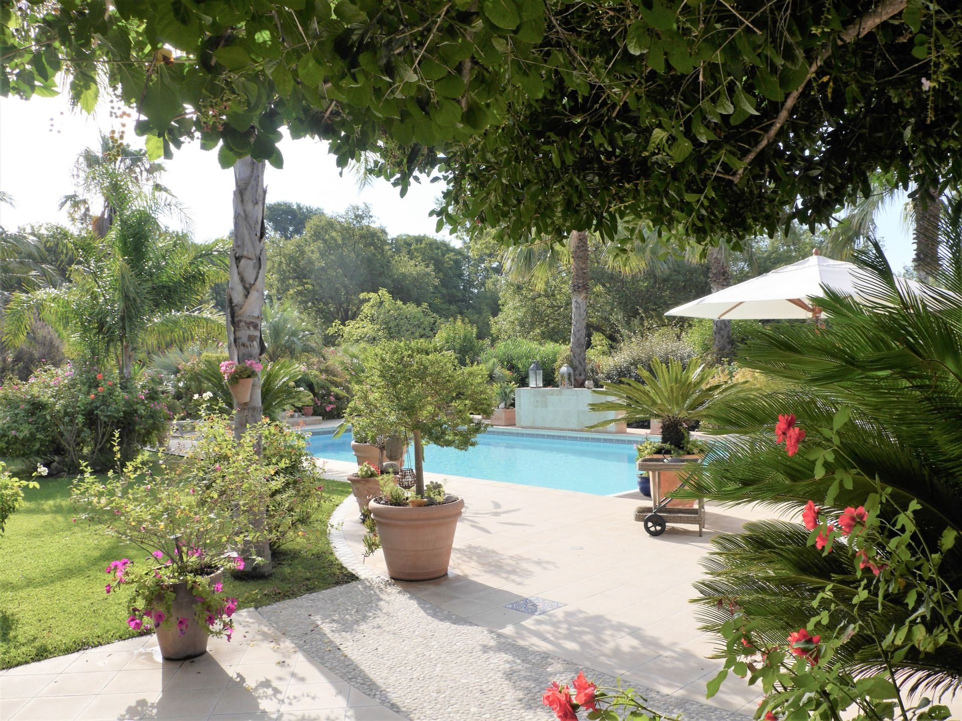 Sale Property Perpignan 66000 303&nbsp;m²