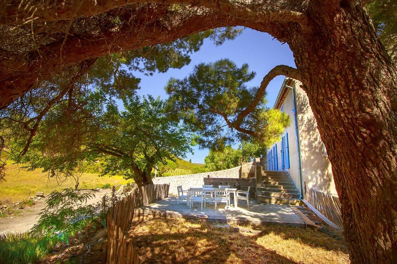 Vente Propriété Villesèque-des-Corbières 11360 840&nbsp;m²