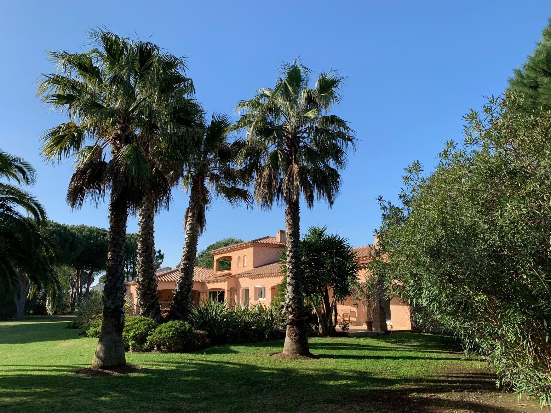 Sale House Perpignan 66000 240&nbsp;m²