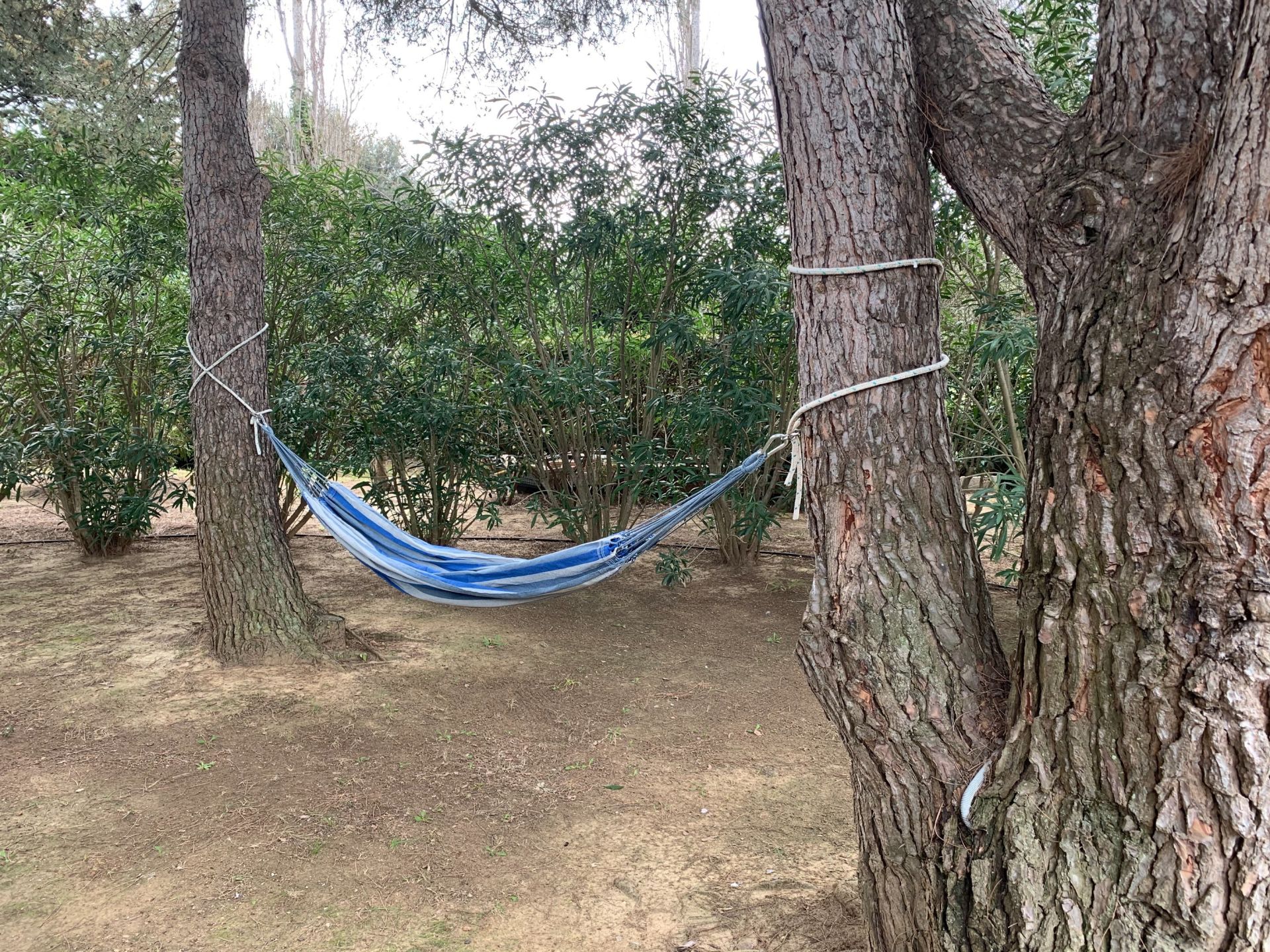 Sale House Perpignan 66000 240&nbsp;m²