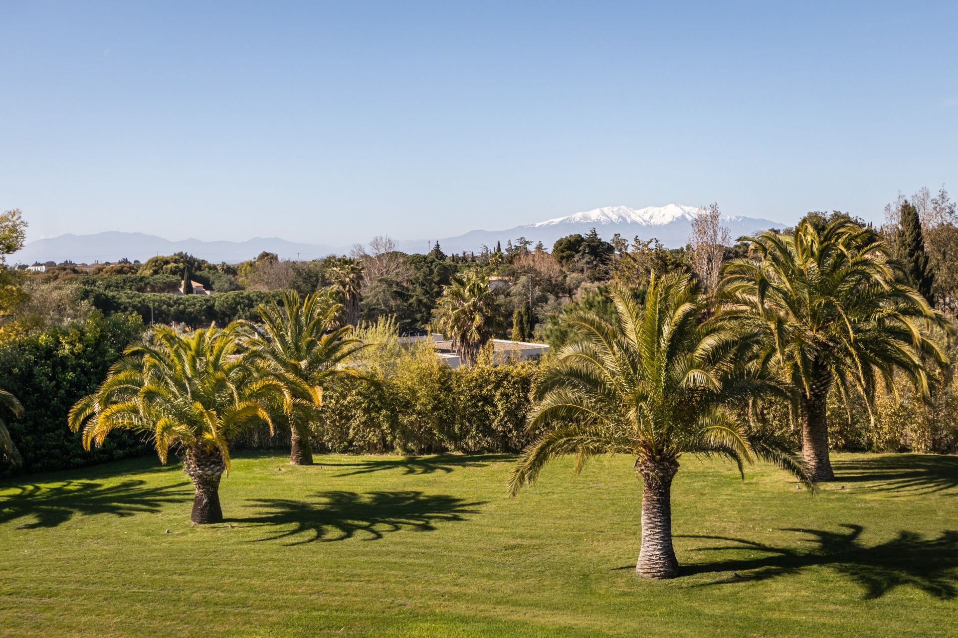 Sale House Perpignan 66000 485&nbsp;m²