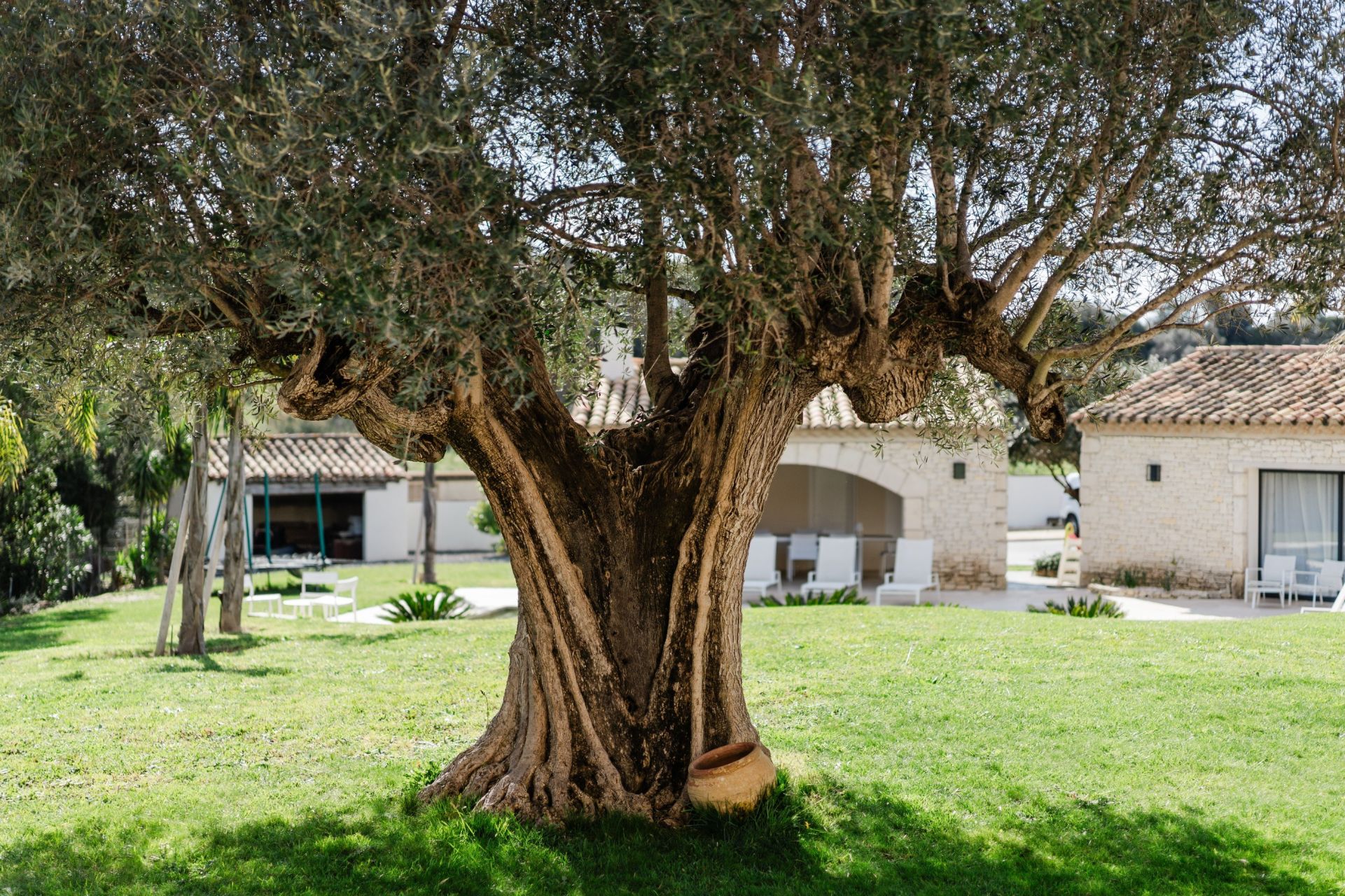 Sale House Perpignan 66000 340&nbsp;m²