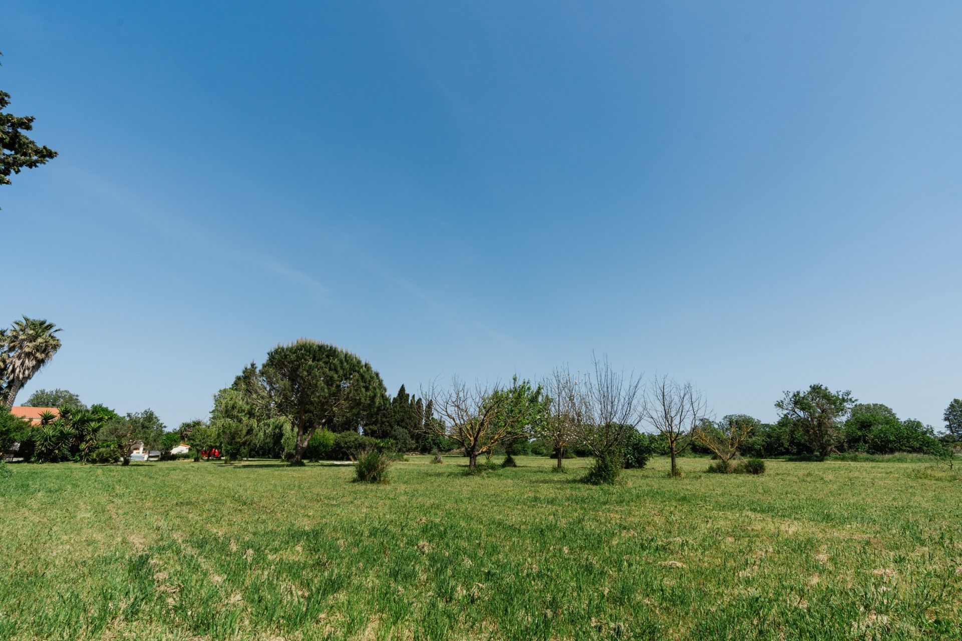 Sale House Perpignan 66000 204&nbsp;m²