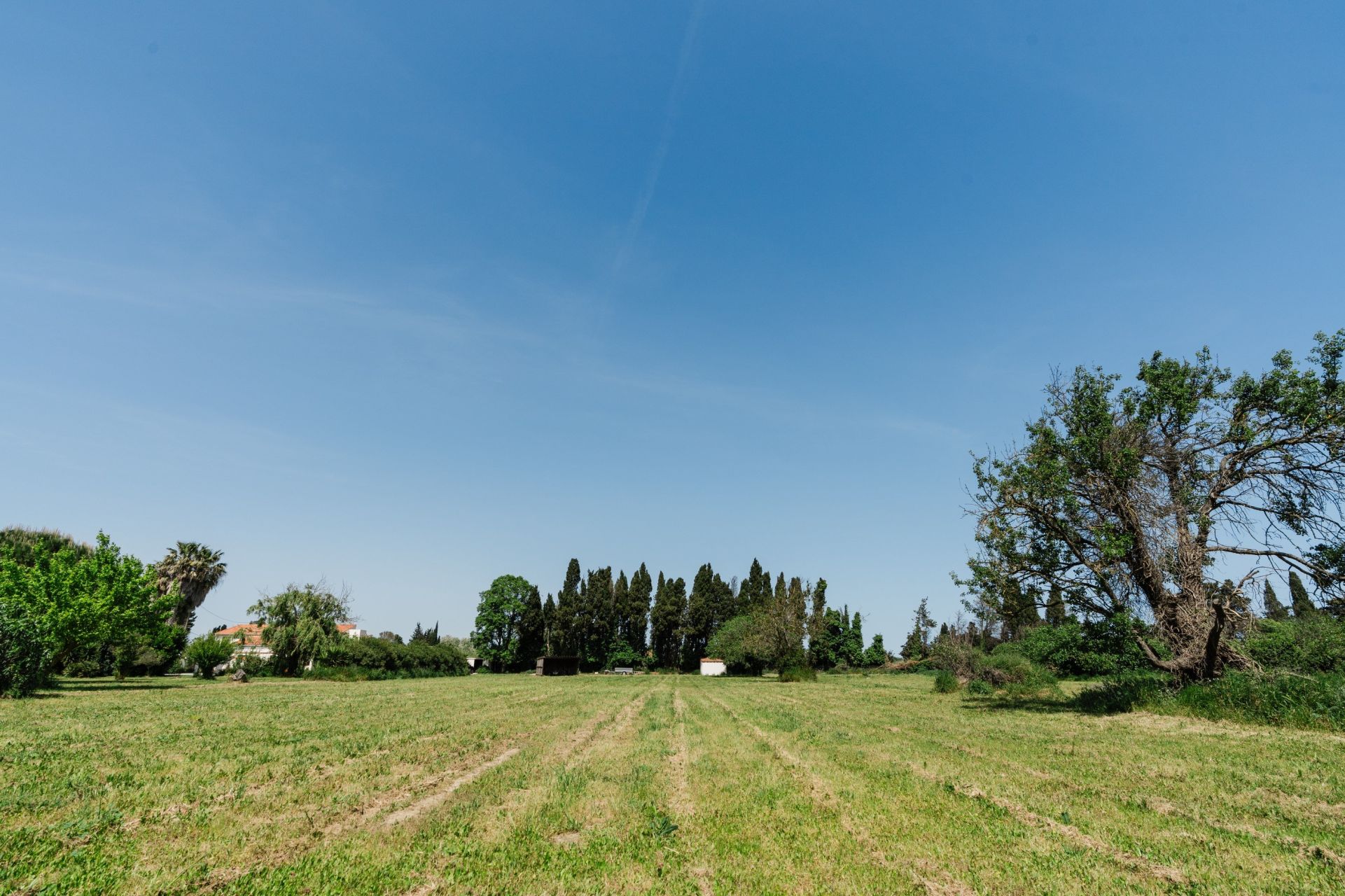 Sale House Perpignan 66000 204&nbsp;m²