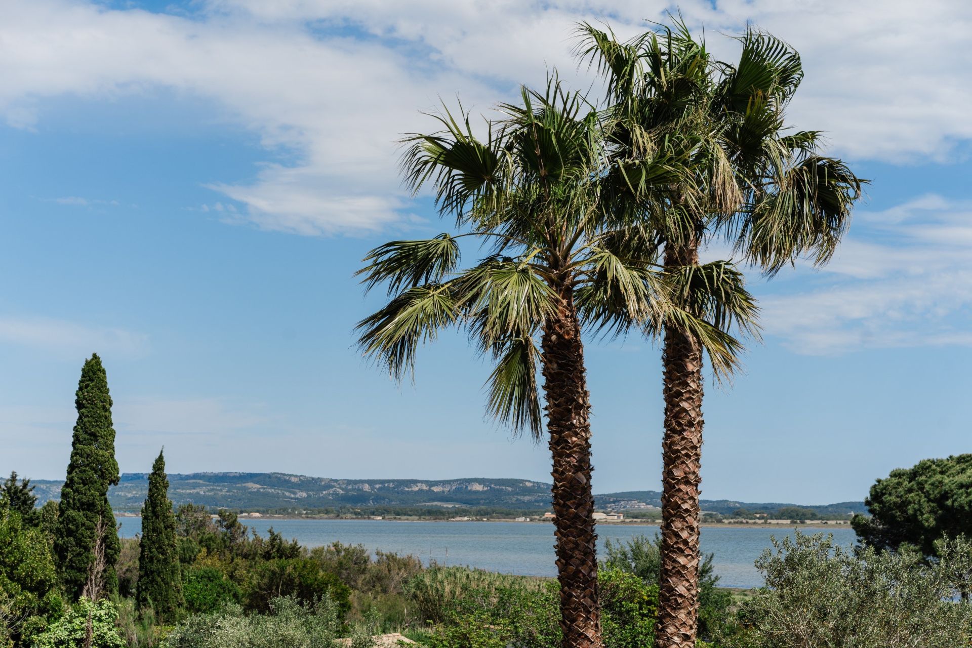 Sale House Bages 11100 203&nbsp;m²