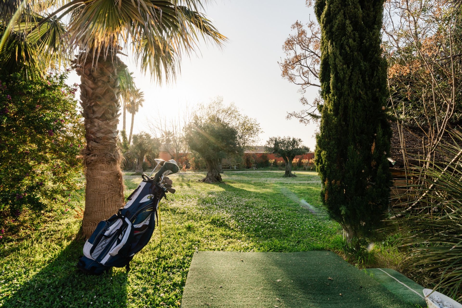 Sale House Perpignan 66000 500&nbsp;m²