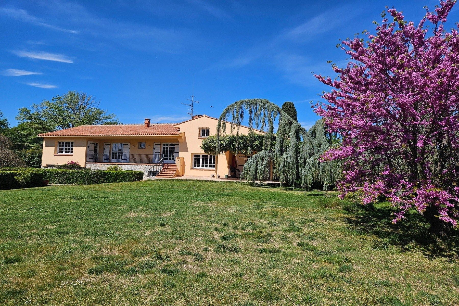 Vente Maison Toulouges 66350 330&nbsp;m²