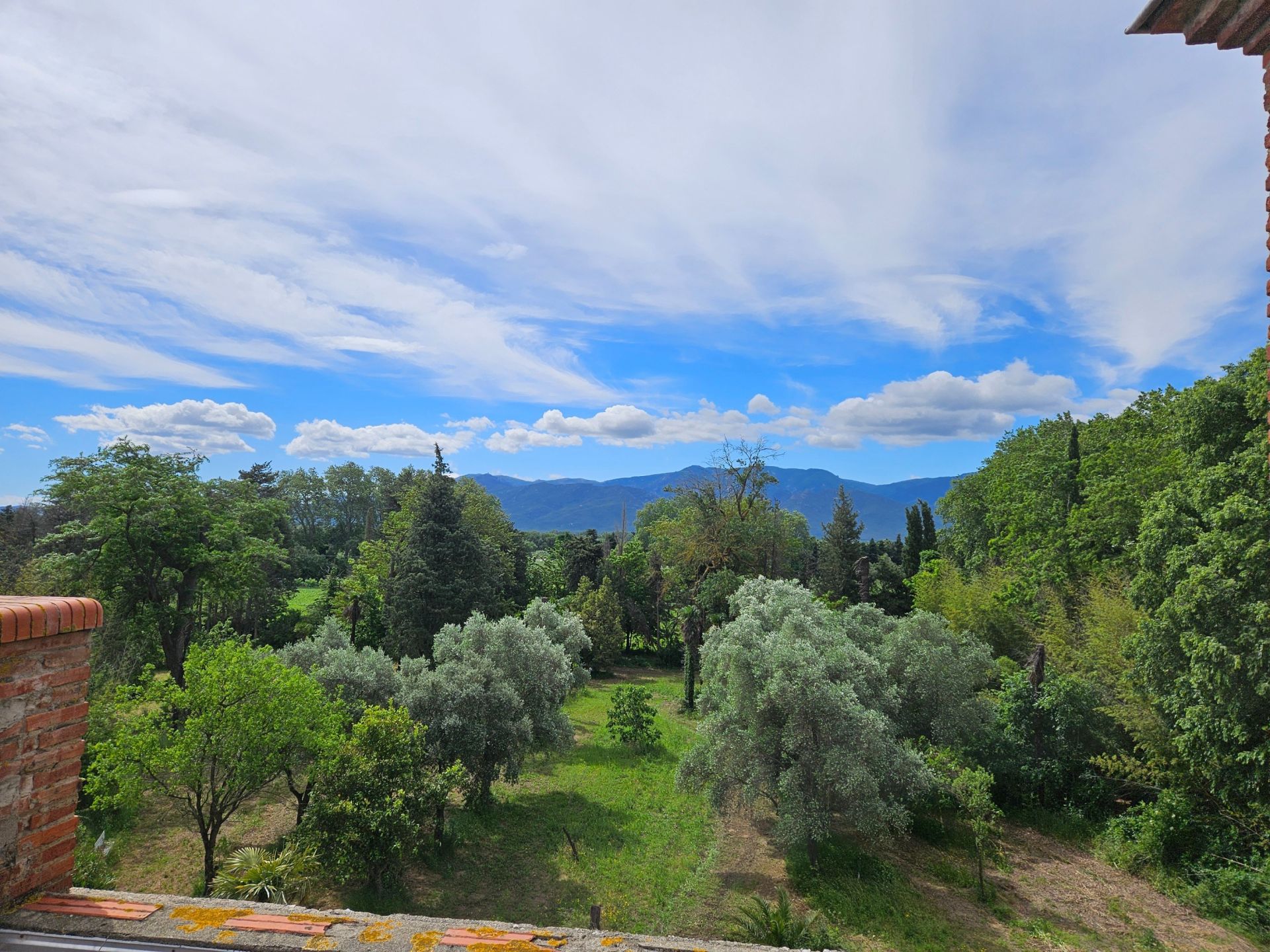 Vente Maison Perpignan 66000 500&nbsp;m²
